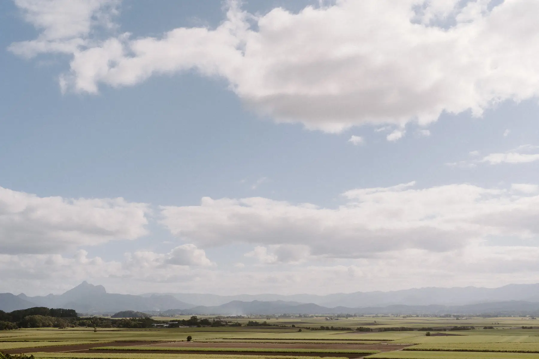 Cane fields stretching towards Wollumbin under a big Tweed Valley sky