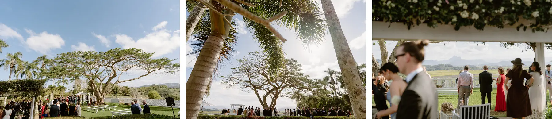 Guests arriving across the ceremony lawn beneath the palms, Botanica Plantation House