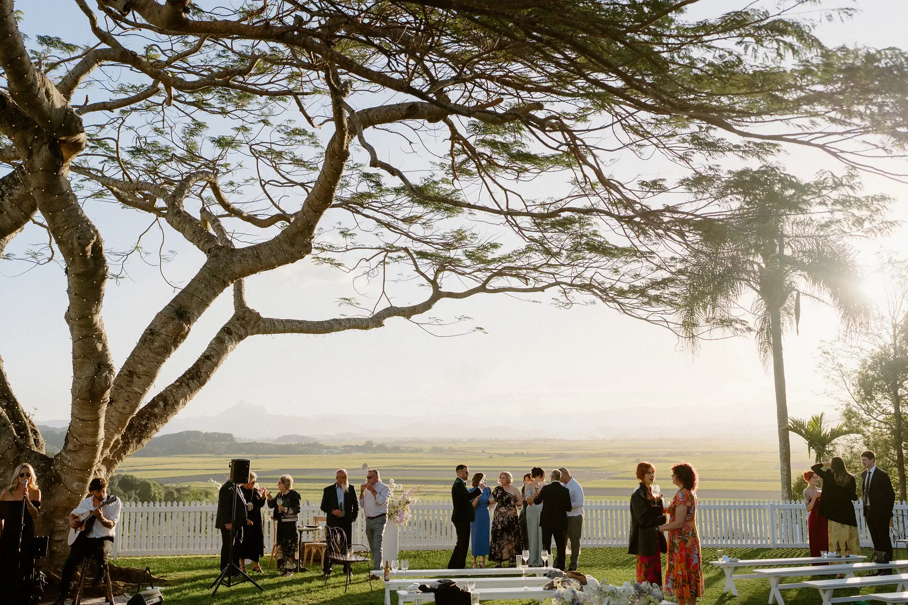 Guests gathered under the Poinciana in the last of the sun, Botanica Plantation House