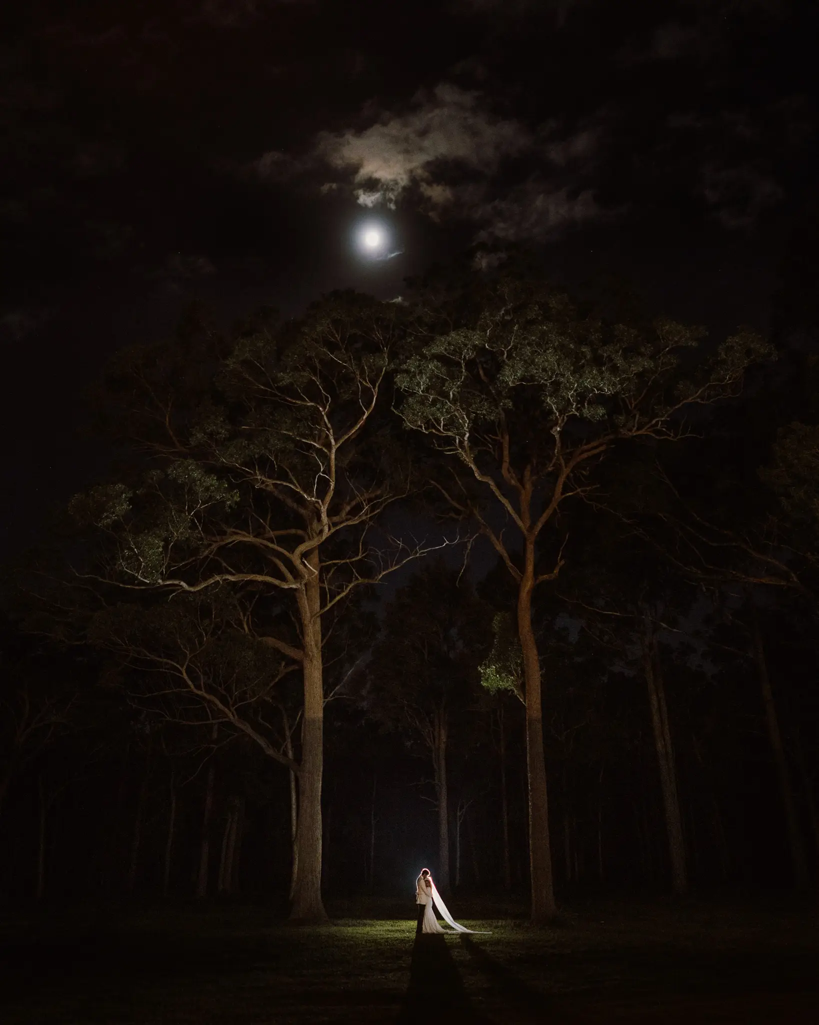 Couple beneath moonlit gums