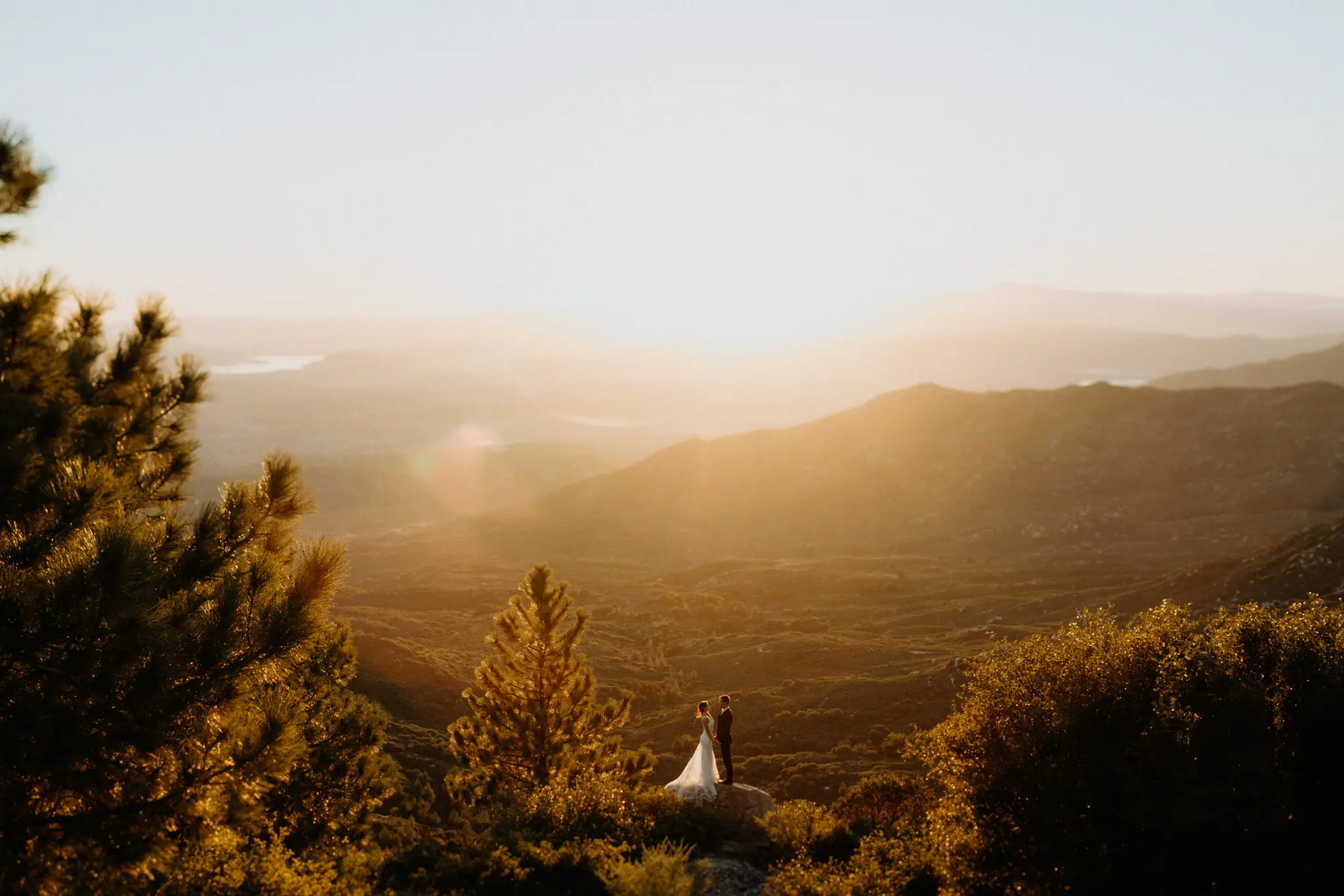 Golden-hour view over a hinterland valley, the couple tiny beneath a tree