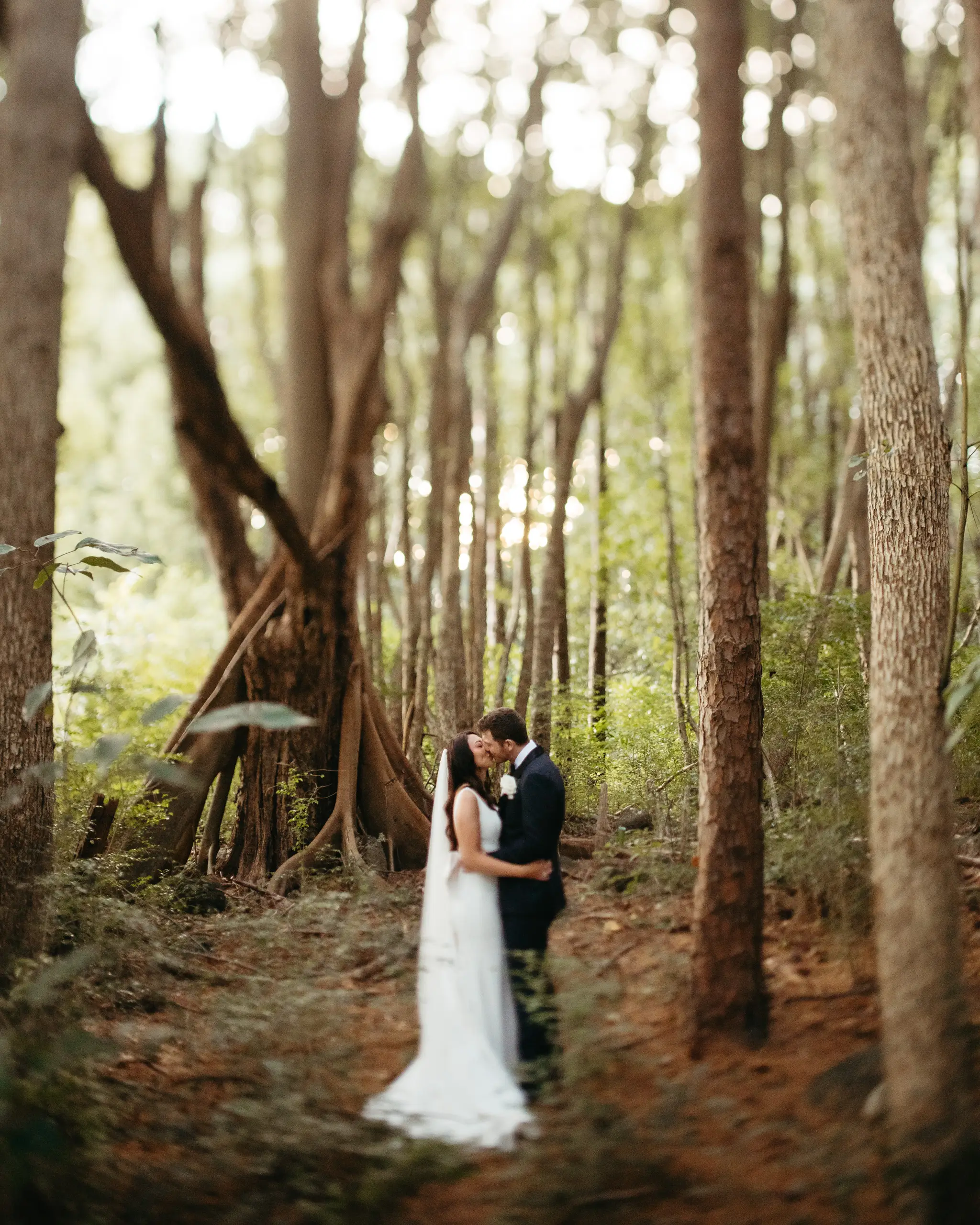 Bride and groom among the buttress roots of tall rainforest trees