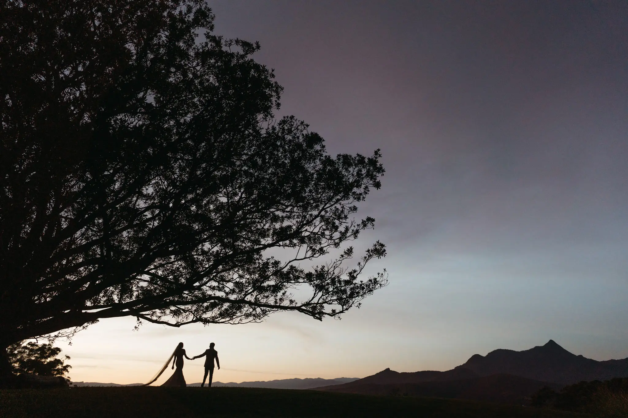 The couple silhouetted under a spreading tree at dusk, a mountain on the horizon