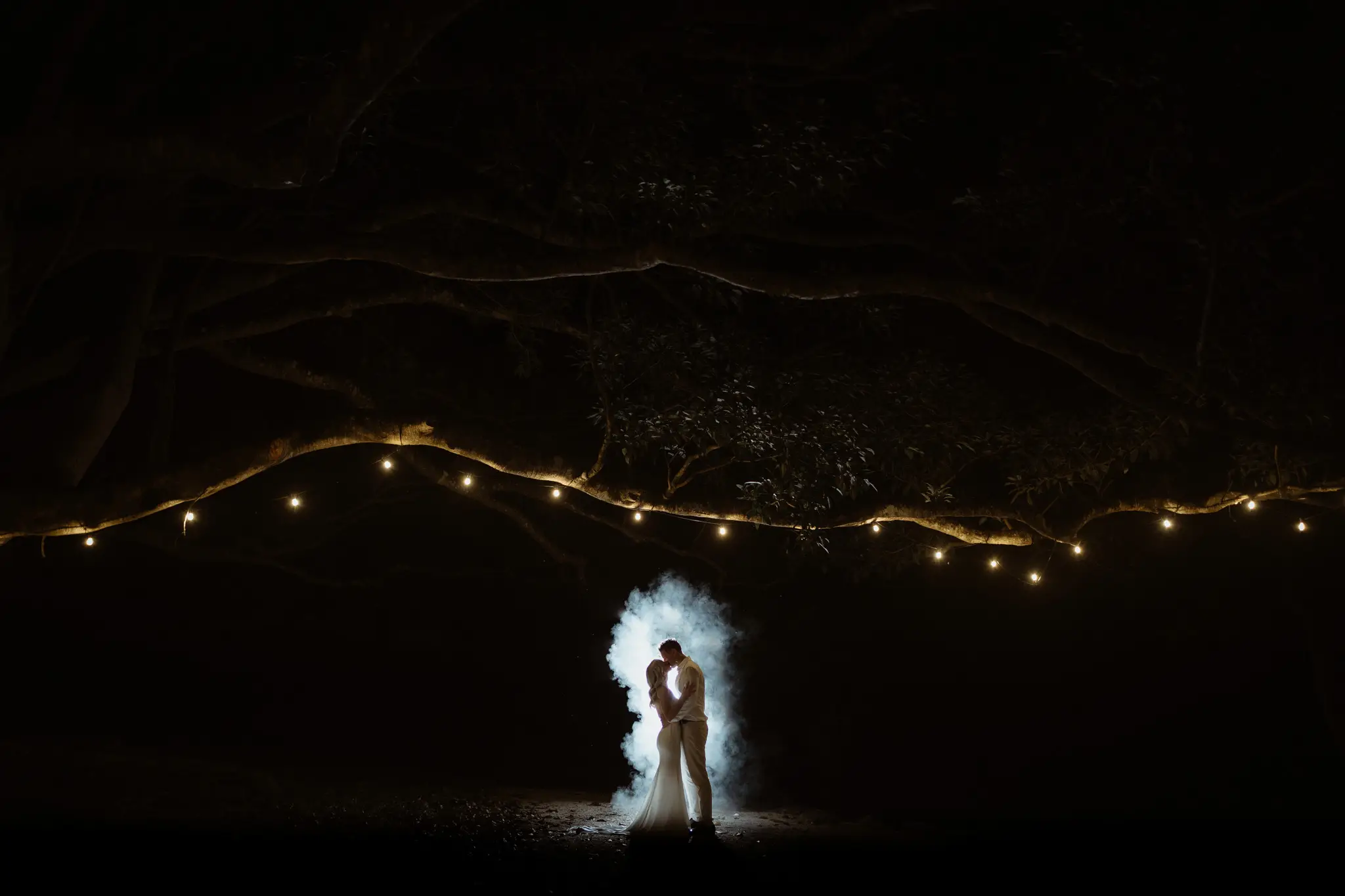 Couple under a string of festoon lights strung through a dark fig tree