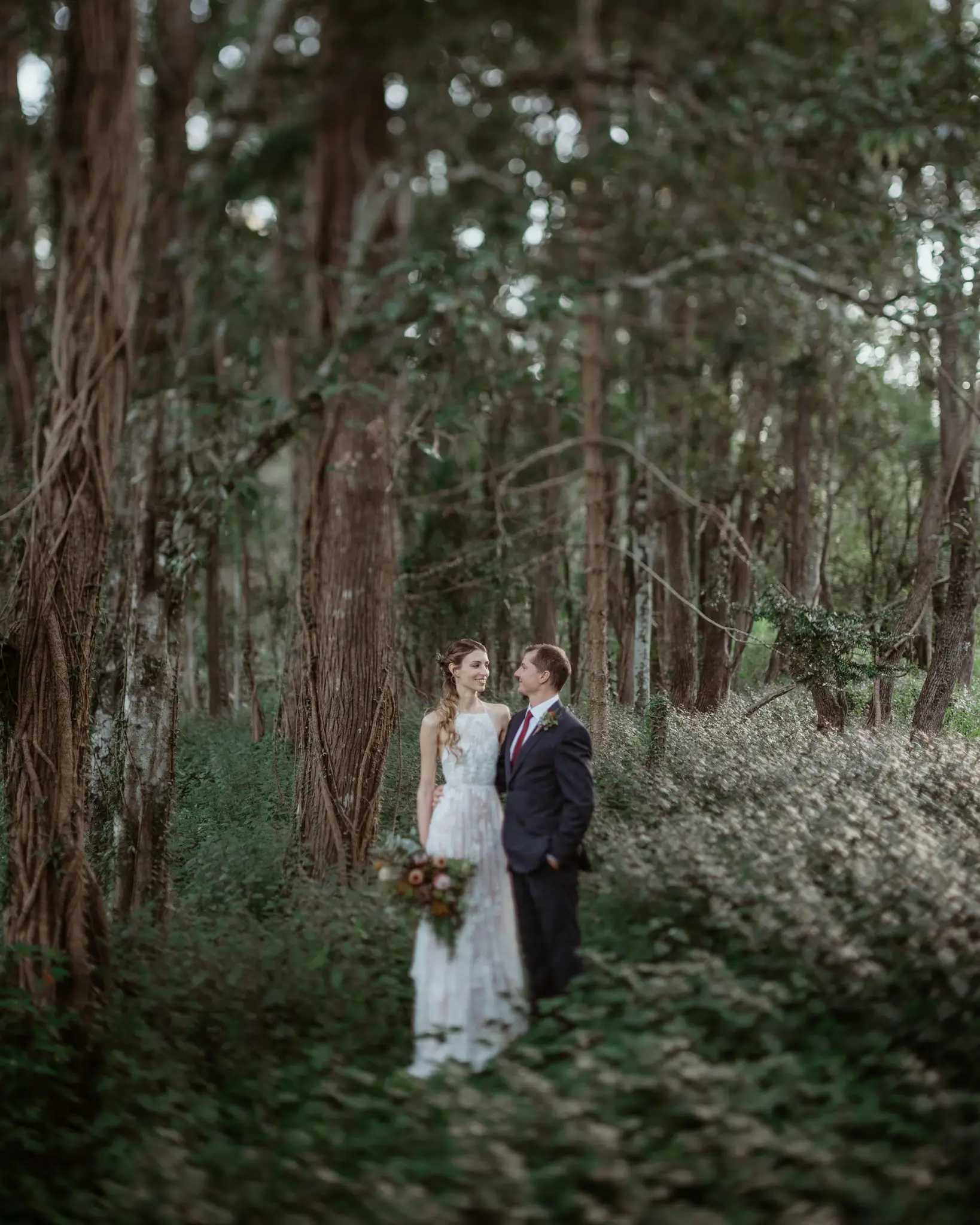 Bride and groom deep in eucalypt forest