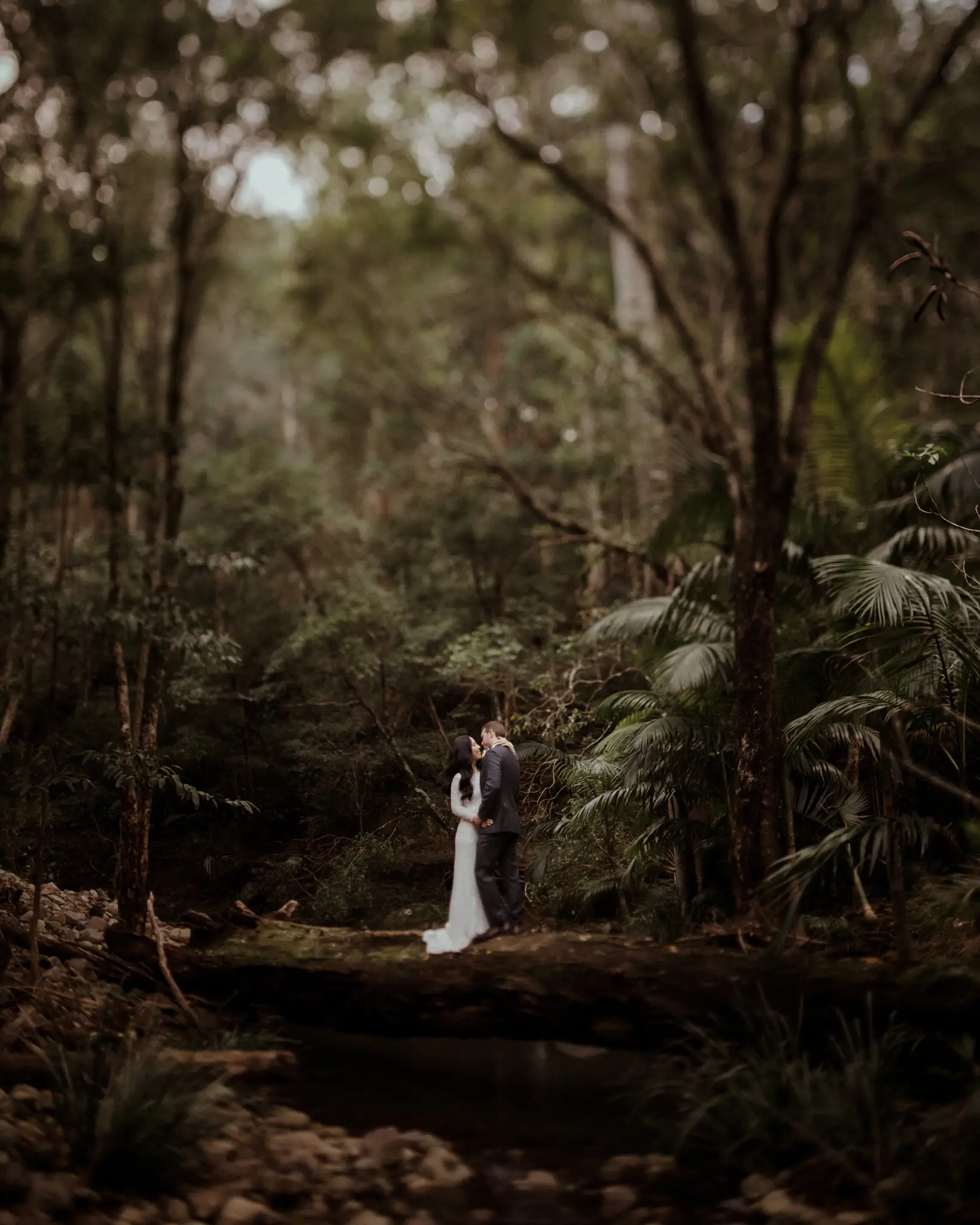 Bride and groom beside a rainforest creek