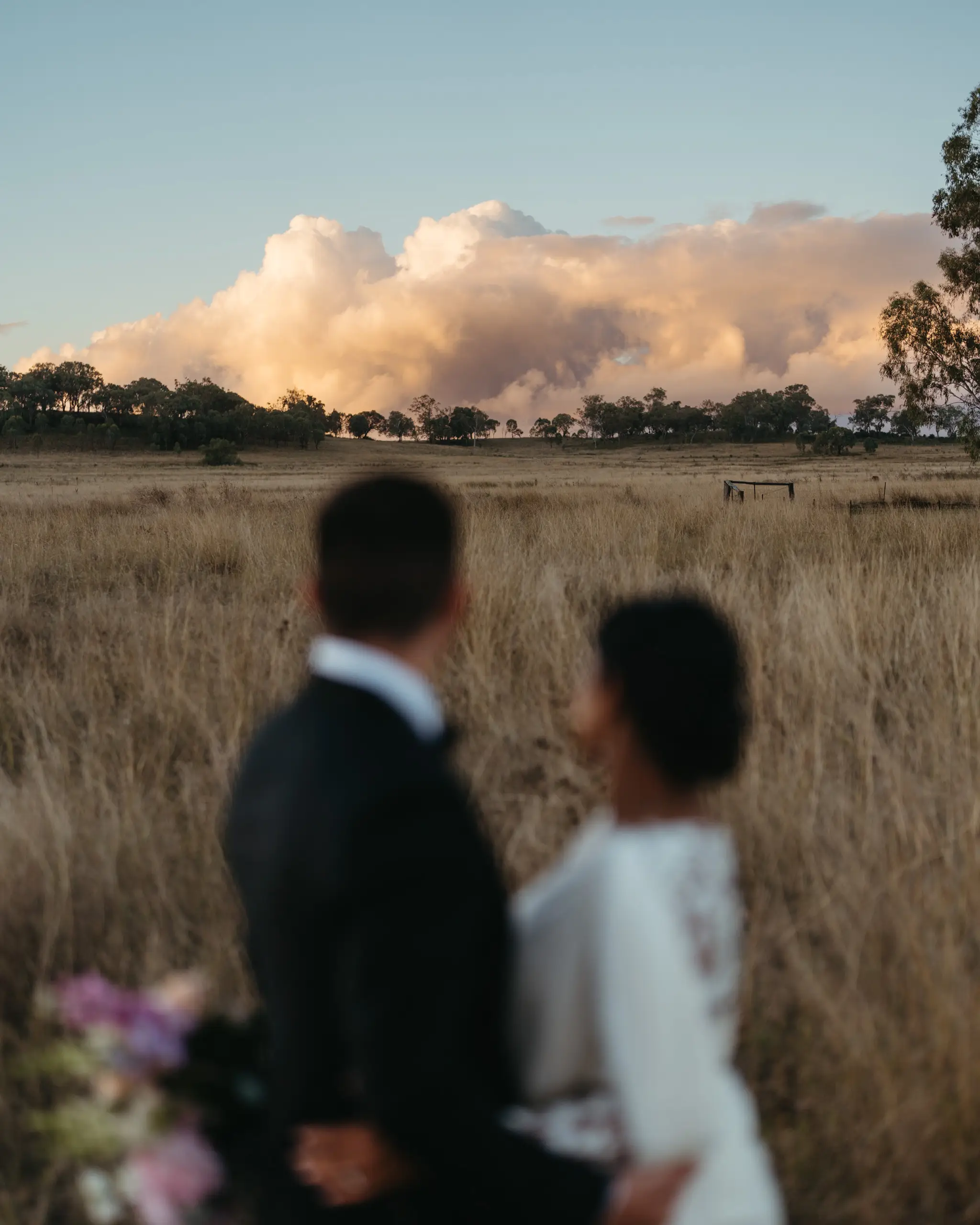 Couple in long grass under a pink evening sky