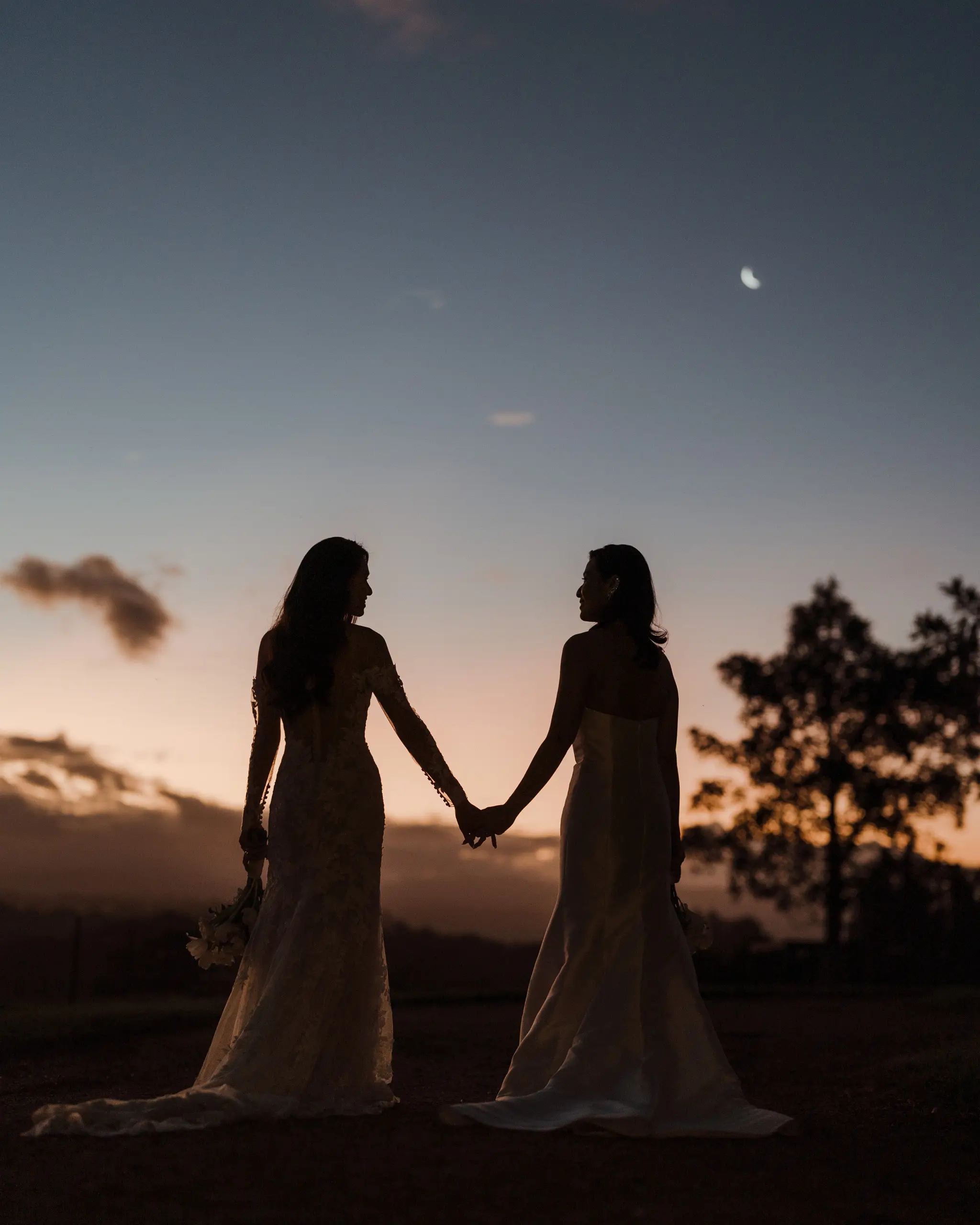 Two brides silhouetted hand in hand under a crescent moon