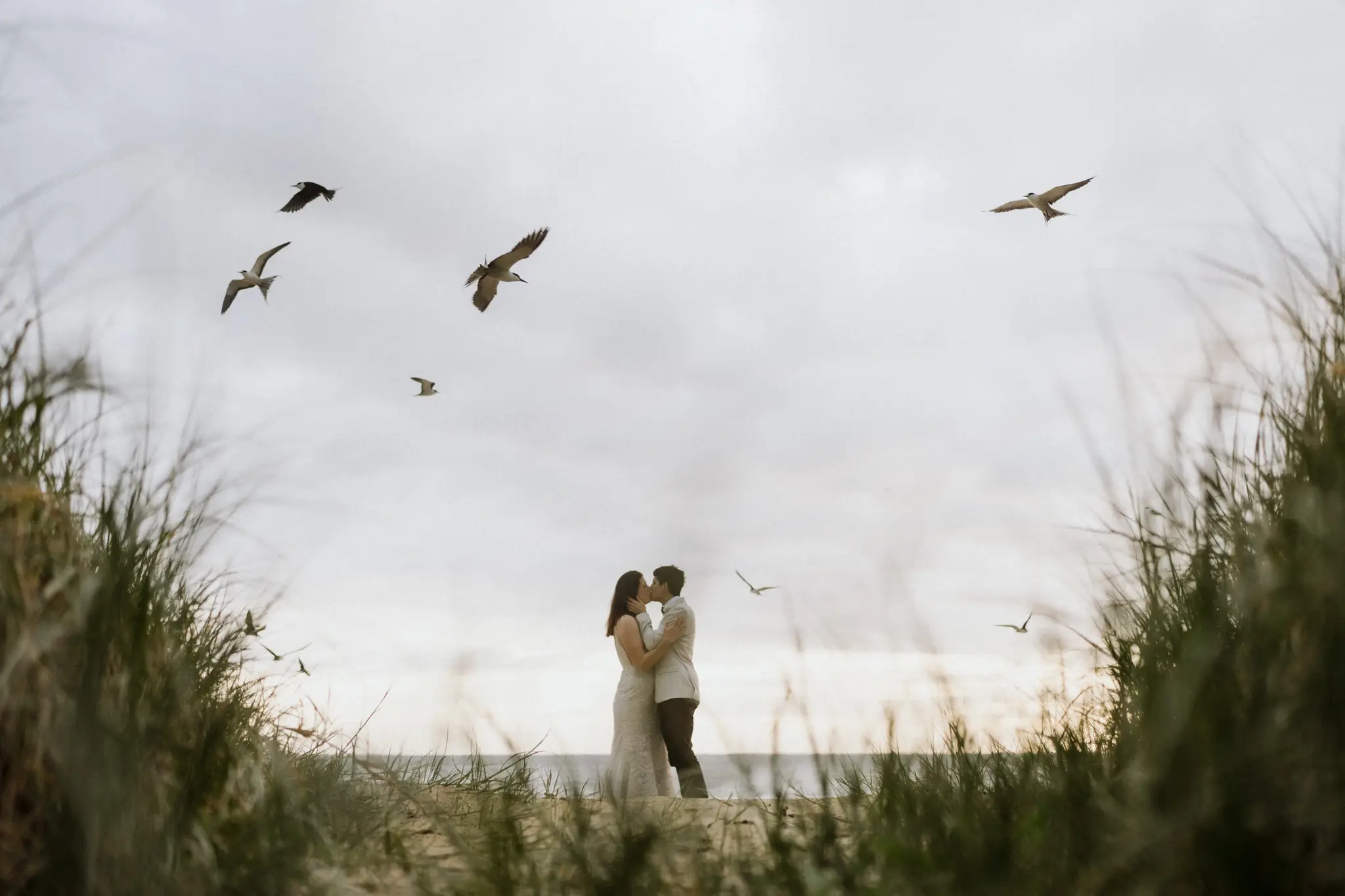 Couple in the dune grass as gulls wheel overhead