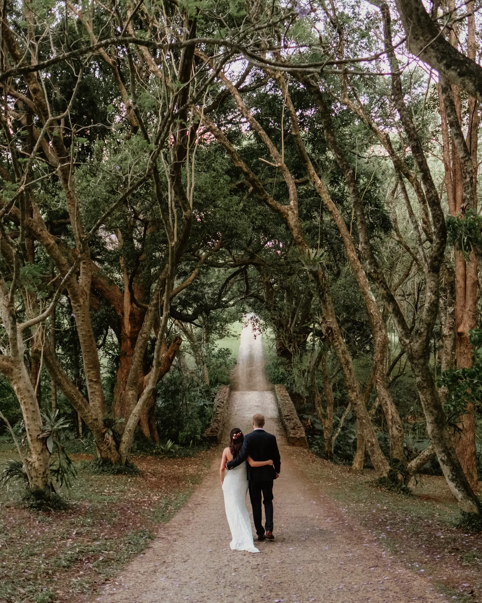 Couple walking a tunnel of arched trees