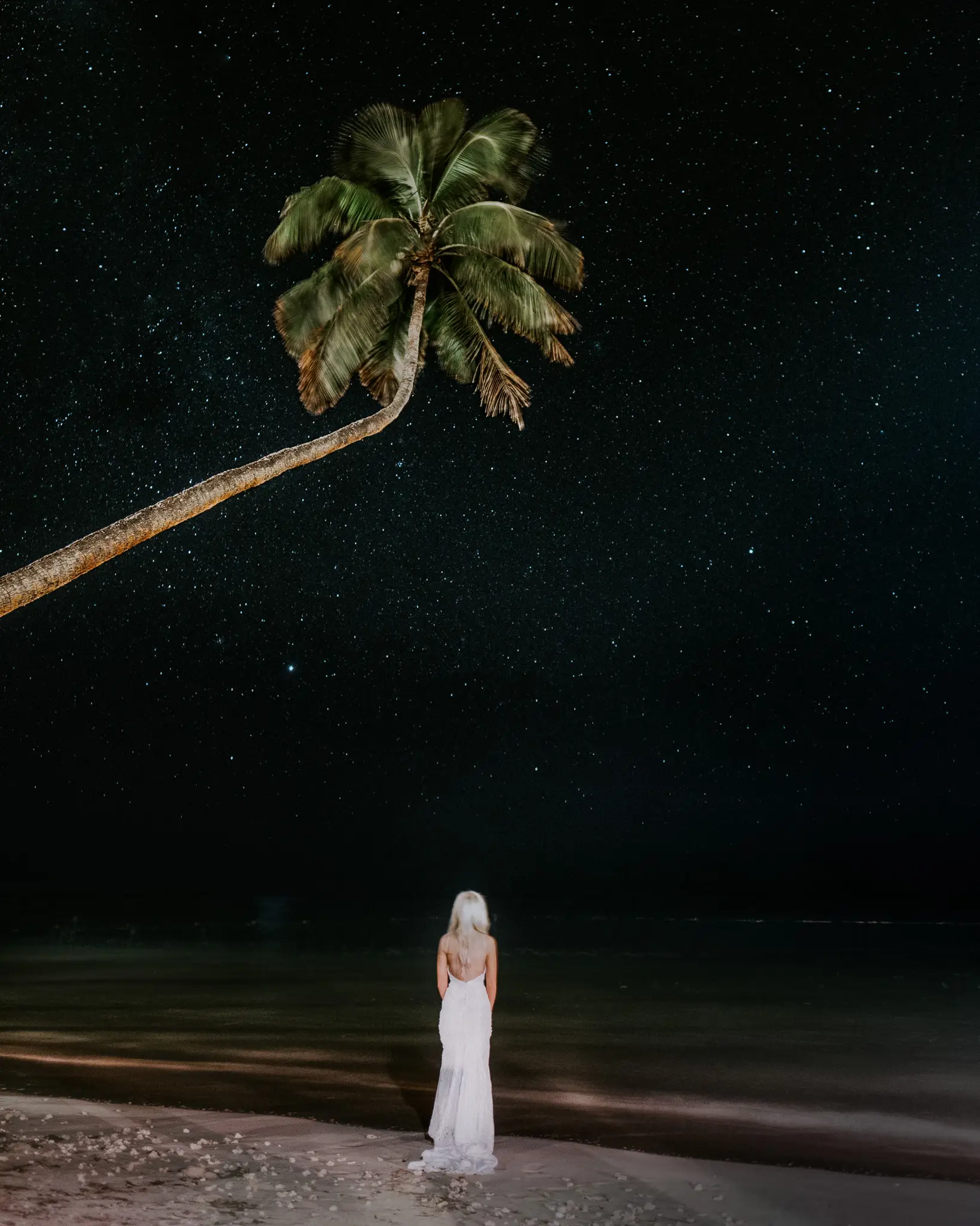 Bride beneath a lone palm against a field of stars