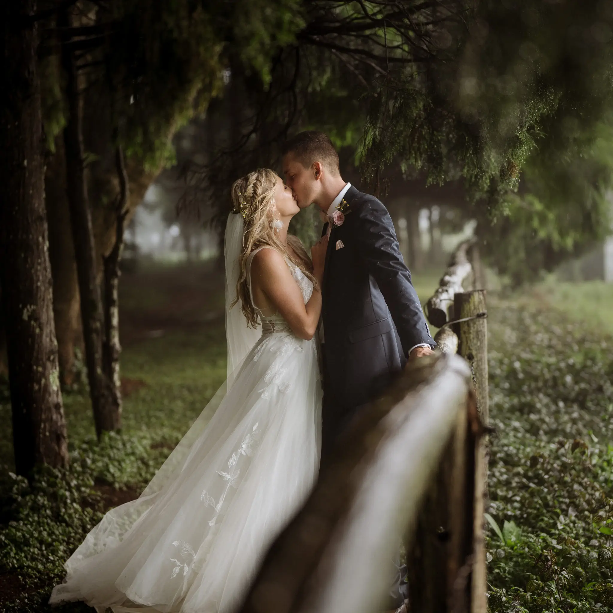 A kiss over the fence rail among misty pines