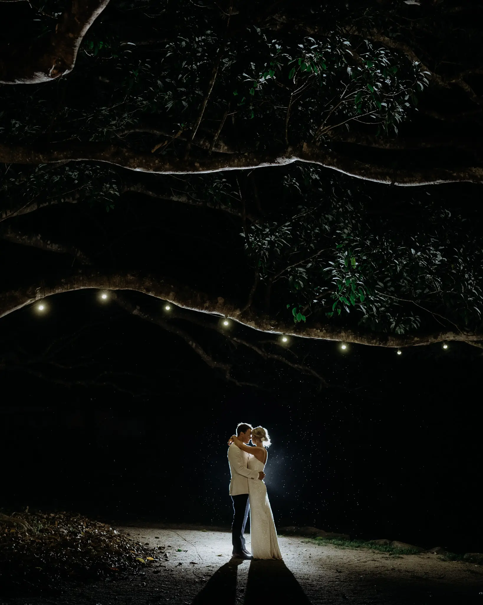 Couple beneath a single strand of lights in a dark fig tree