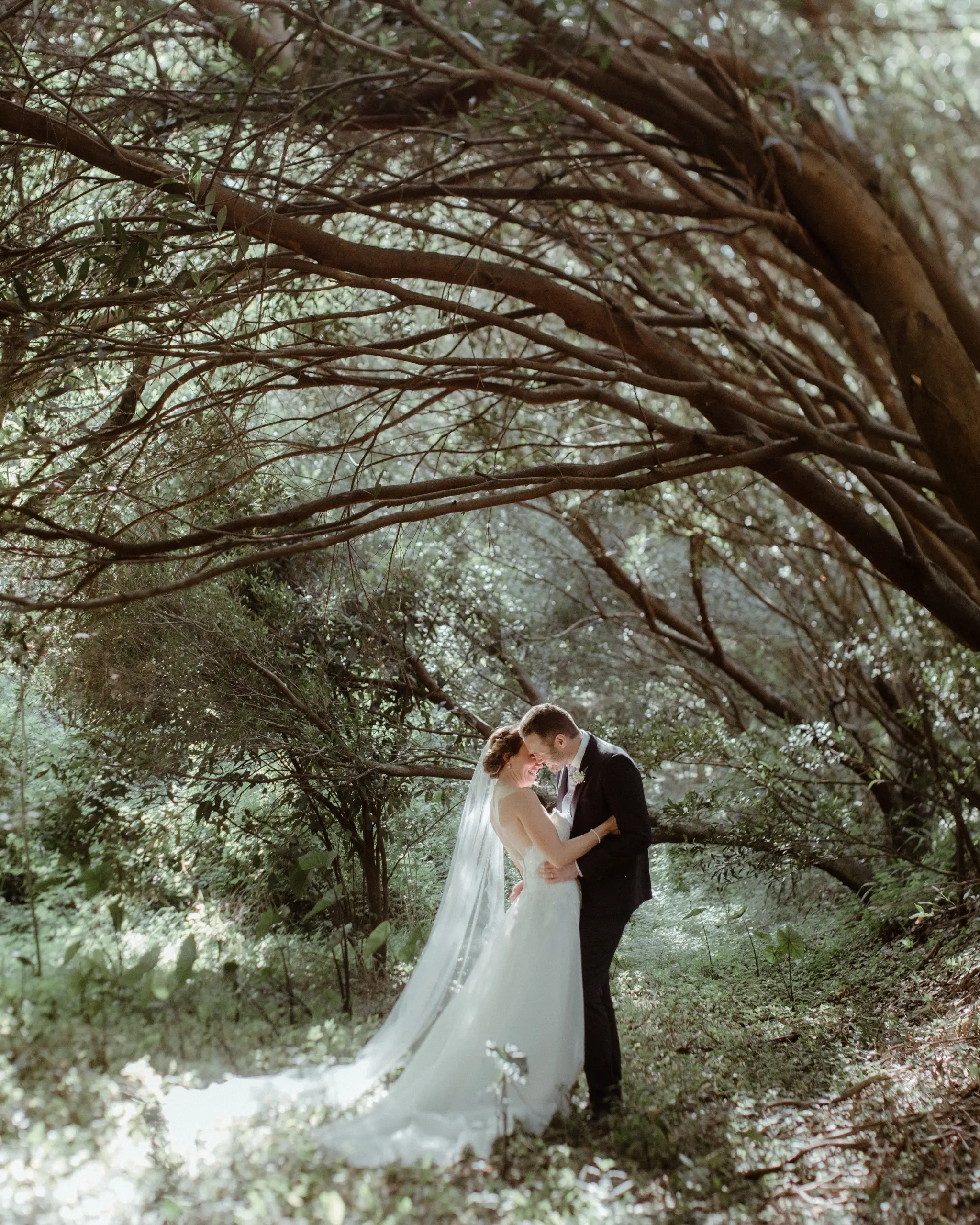 Bride and groom beneath a wind-sculpted tea-tree