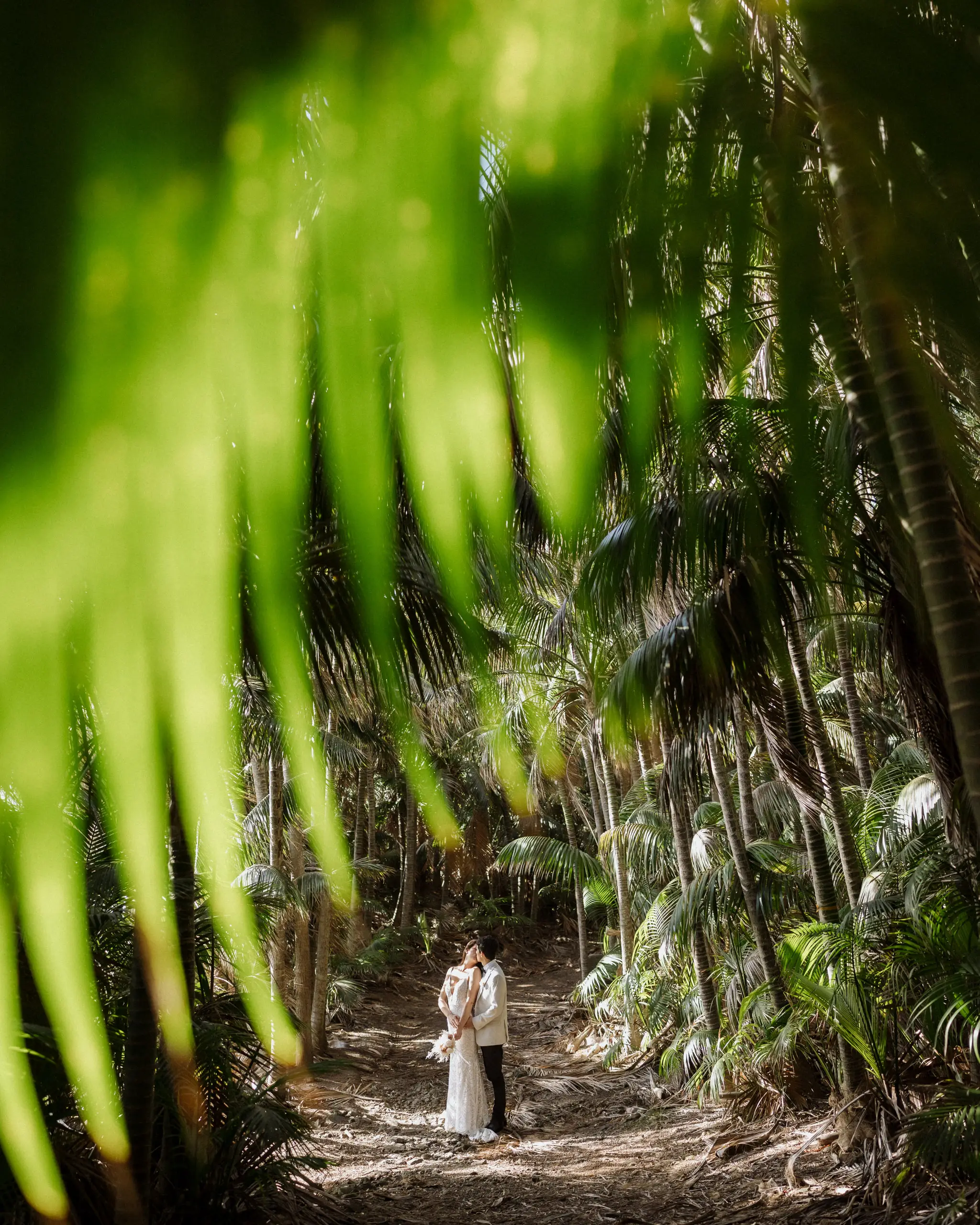 Couple beneath a canopy of palms on a forest track