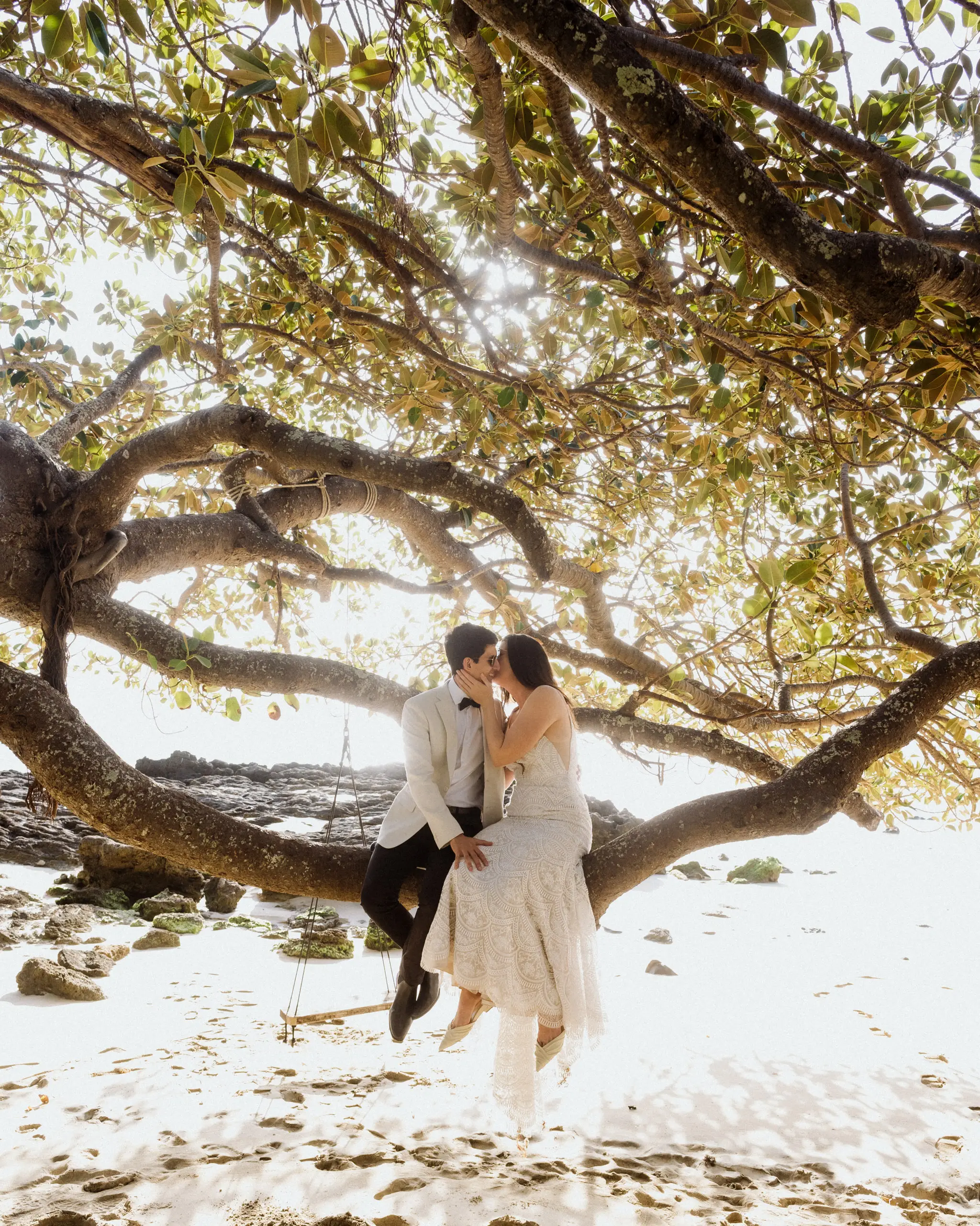 Couple perched in the limbs of a shoreline banyan