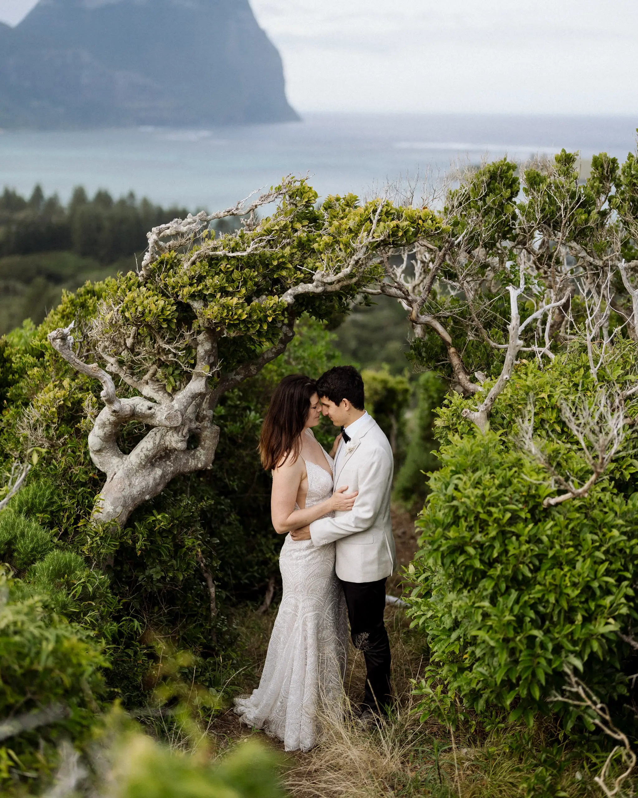 Couple beneath a twisted tree with the mountain coastline behind, Lord Howe Island