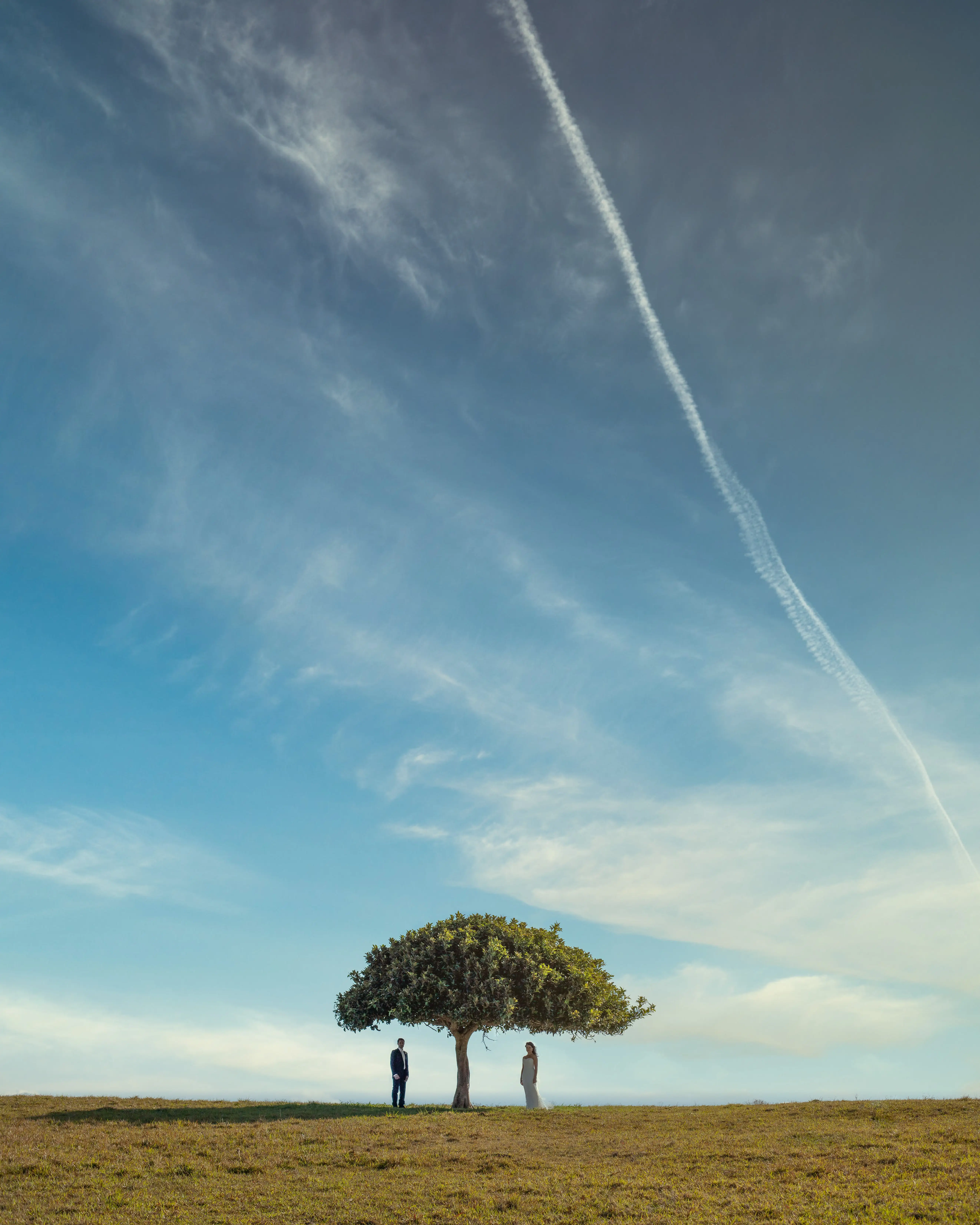 Couple beneath a lone tree under a vast blue sky