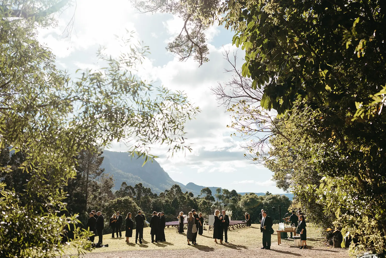 Guests on the mountain lawn with the Springbrook cliffs beyond, The Bower Estate