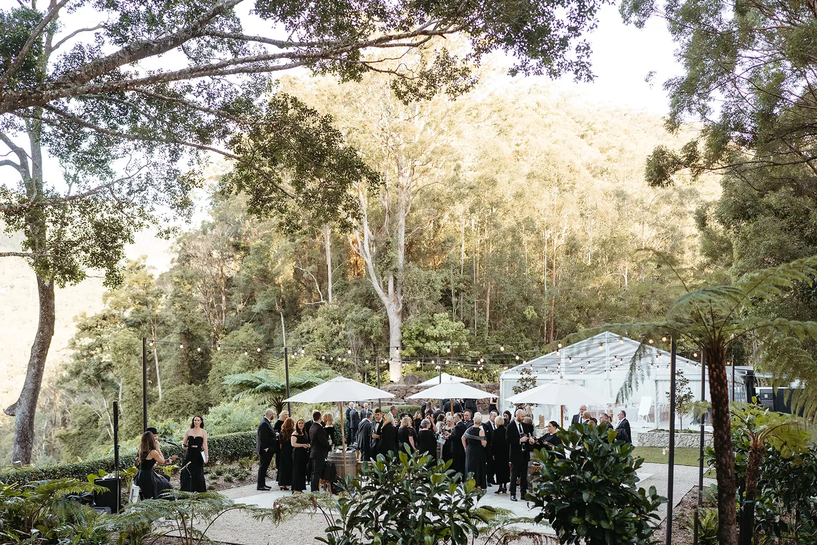 Cocktail hour under the umbrellas with the forest behind, The Bower Estate