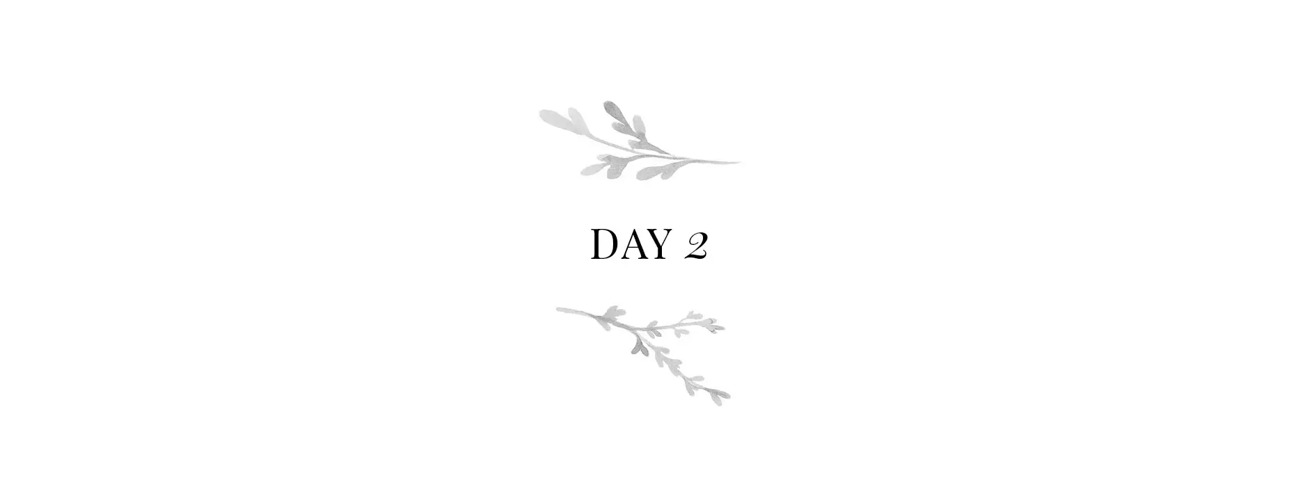Day 2