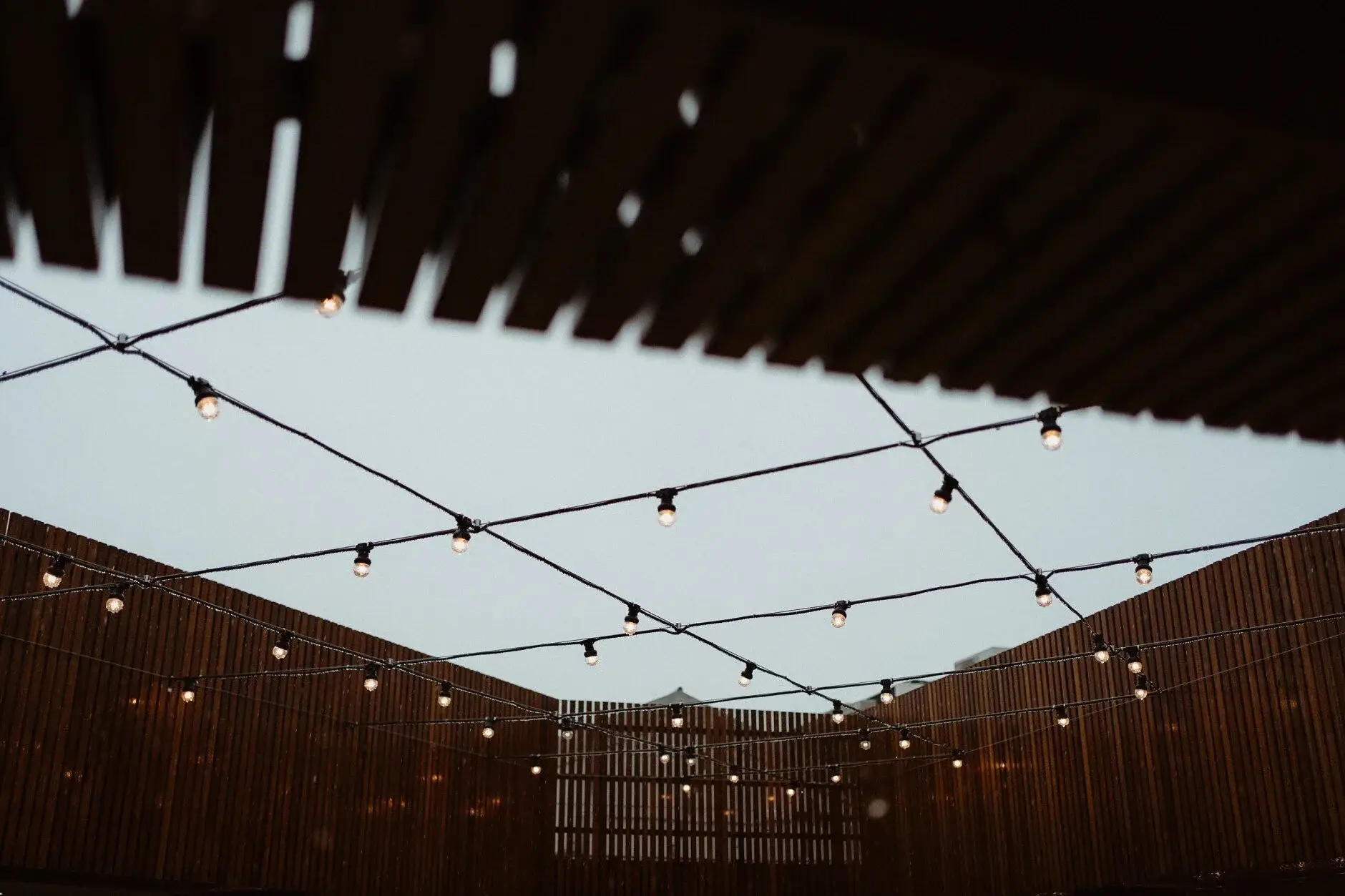 Festoon lights strung under the clear marquee roof at Byron View Farm
