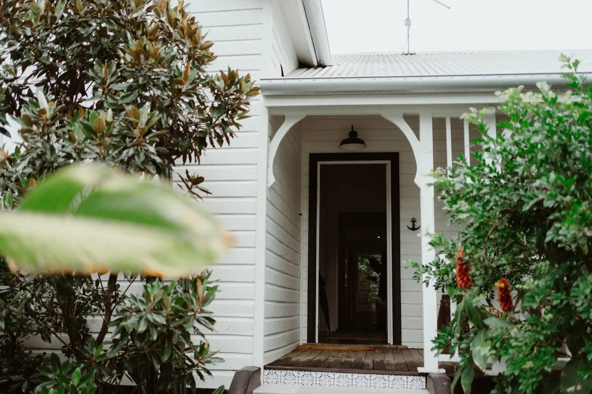 Tropical planting outside the getting-ready house, Byron Bay