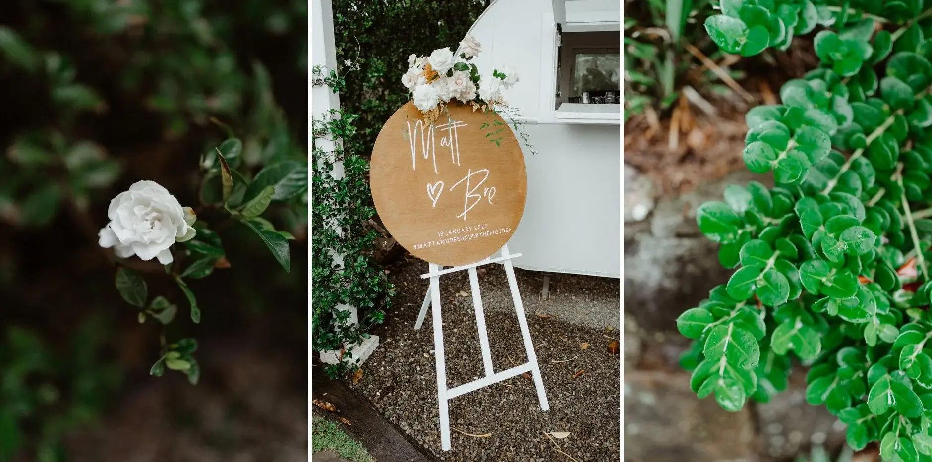 A white bloom and the welcome sign on its easel by the tropical planting, Byron Bay