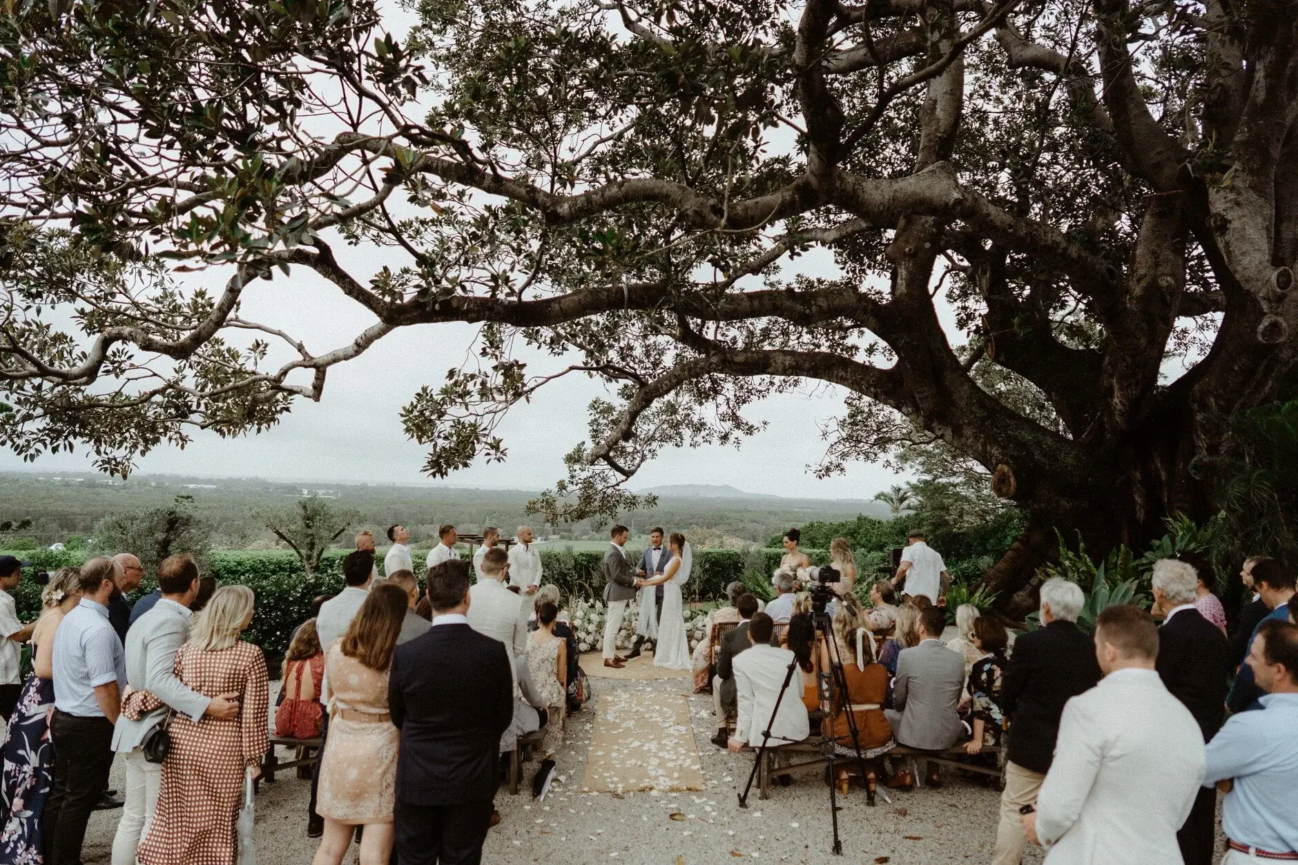 The ceremony under the spreading fig tree with the valley behind, The Fig Tree Byron Bay