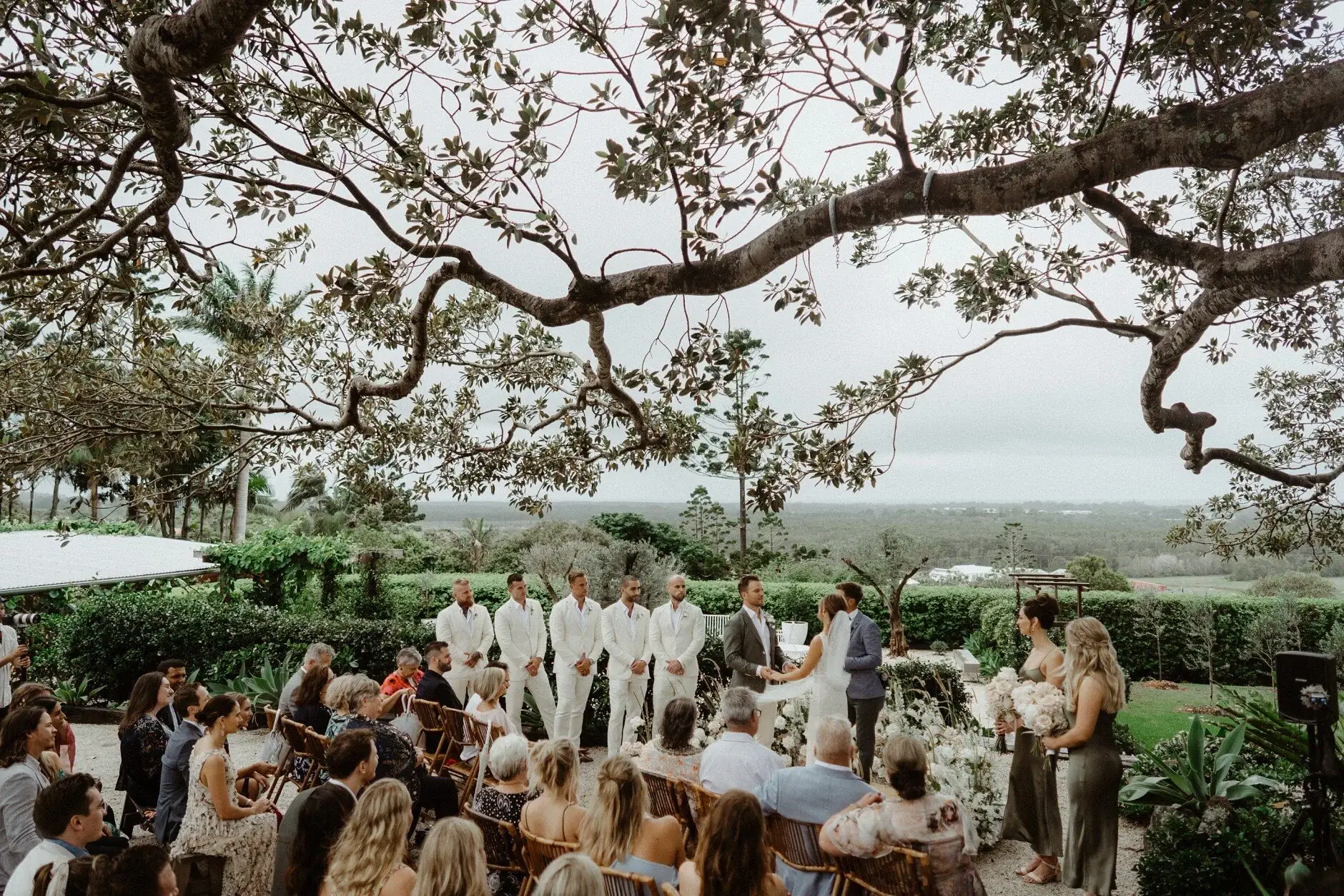 The canopy of the fig tree above the gathered guests, The Fig Tree Byron Bay