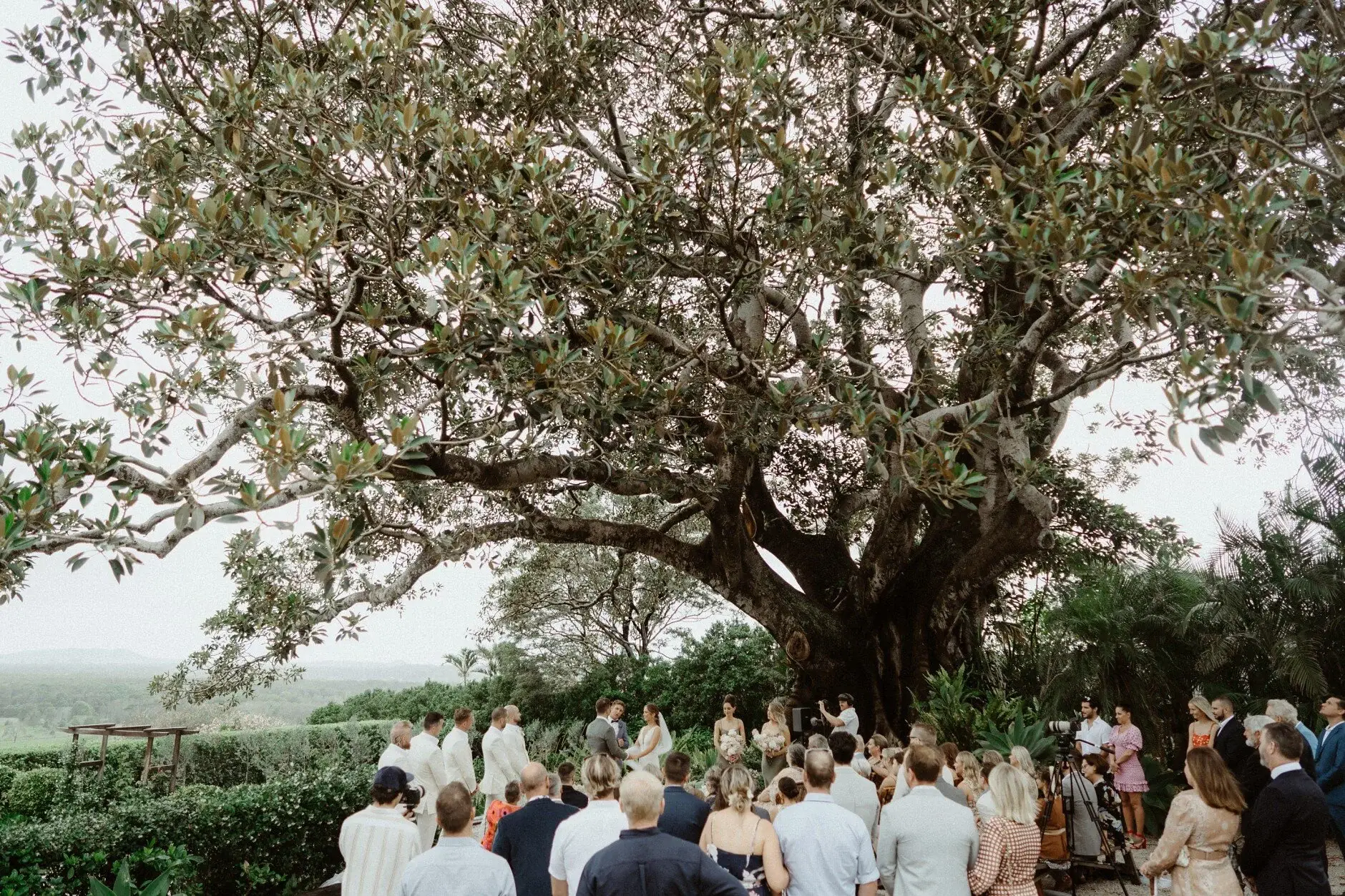 The ceremony seen from the back of the seated guests, The Fig Tree Byron Bay
