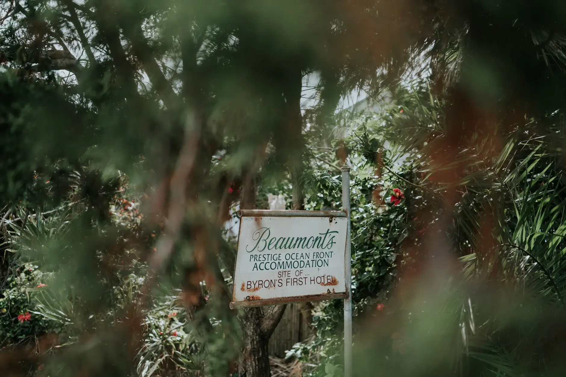 The Beaumonts sign half-hidden in the garden, Belongil Beach
