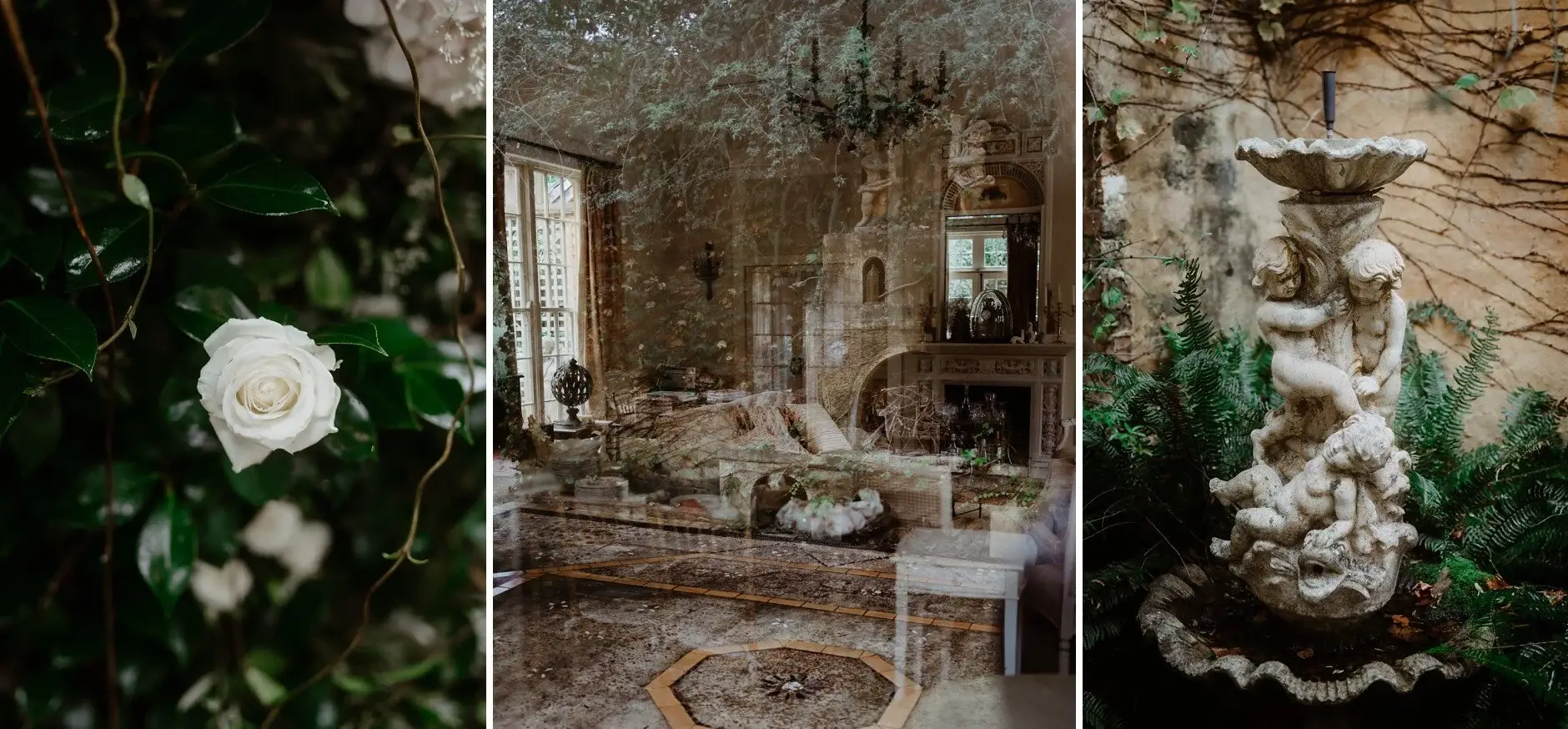A white rose in the garden, the sitting room and the stone fountain at Deux Belettes