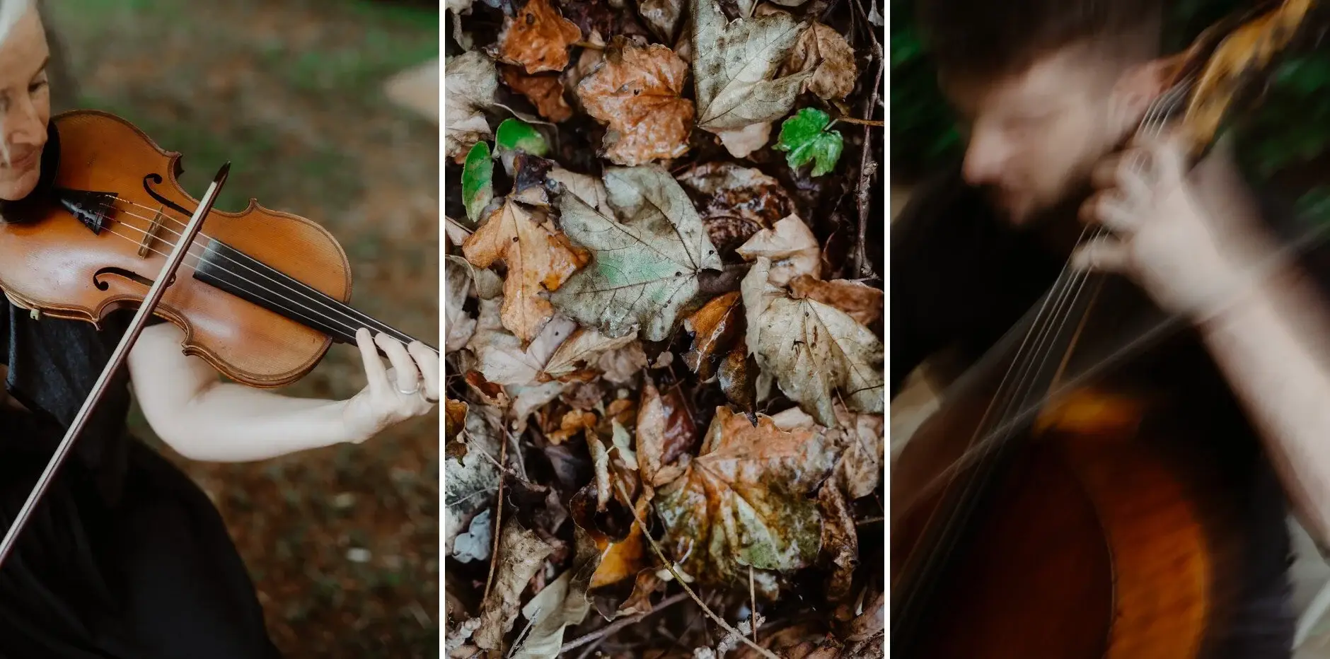 The string players and autumn leaves on the ground, Deux Belettes