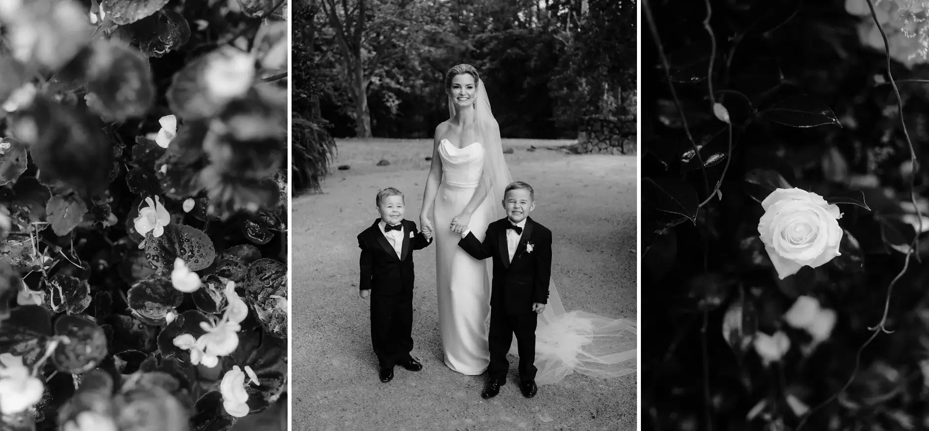 Garden roses and Maddie with the two page boys, Deux Belettes