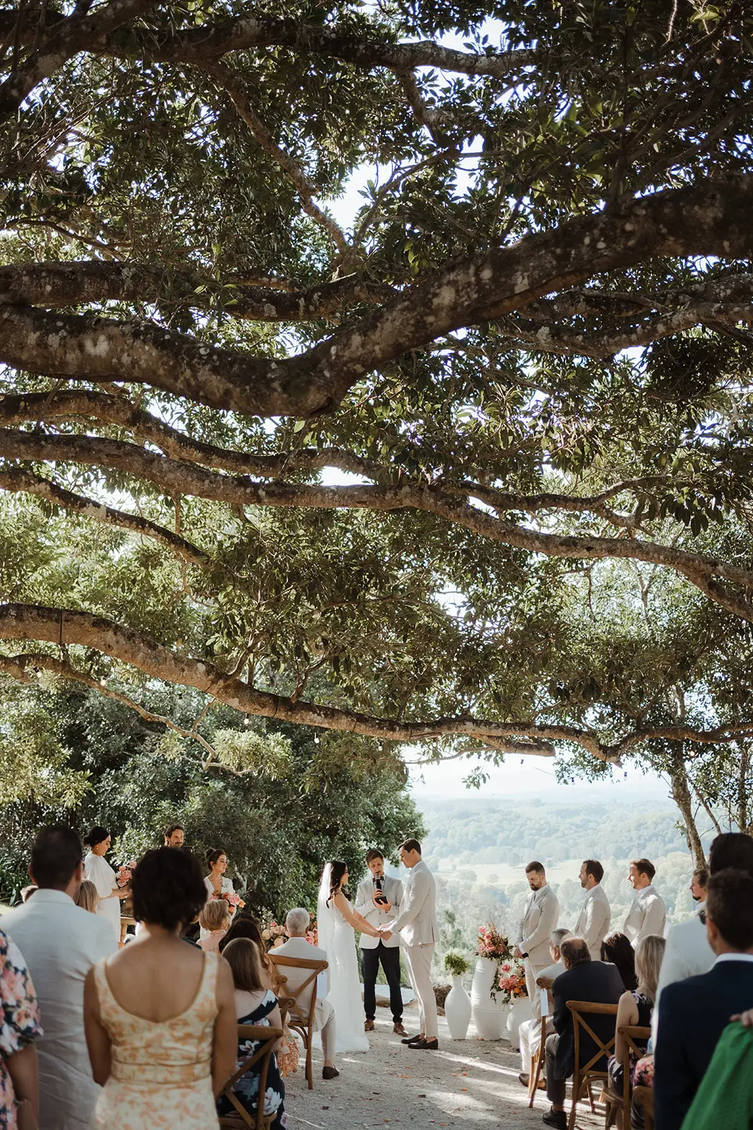 The ceremony beneath the fig, guests seated in the dappled shade, EarthHouse