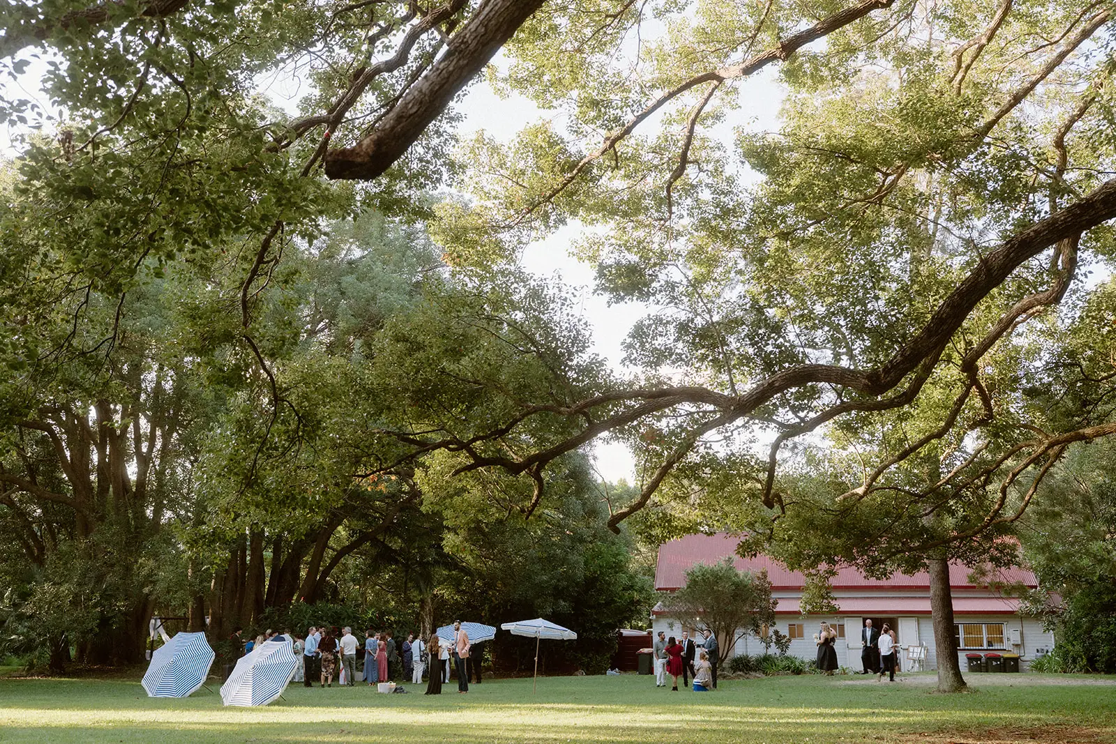 Guests spread across the lawn with the hall and church behind during canapés, Ewingsdale Hall