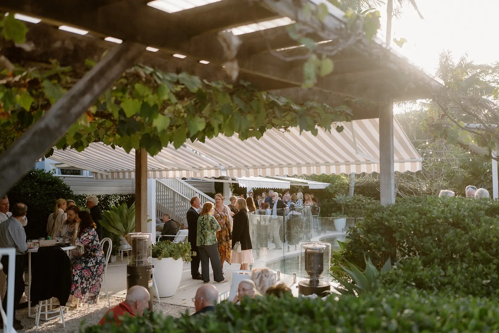 The vine-covered pergola along the terrace, guests at the bar beneath it, Fig Tree Restaurant