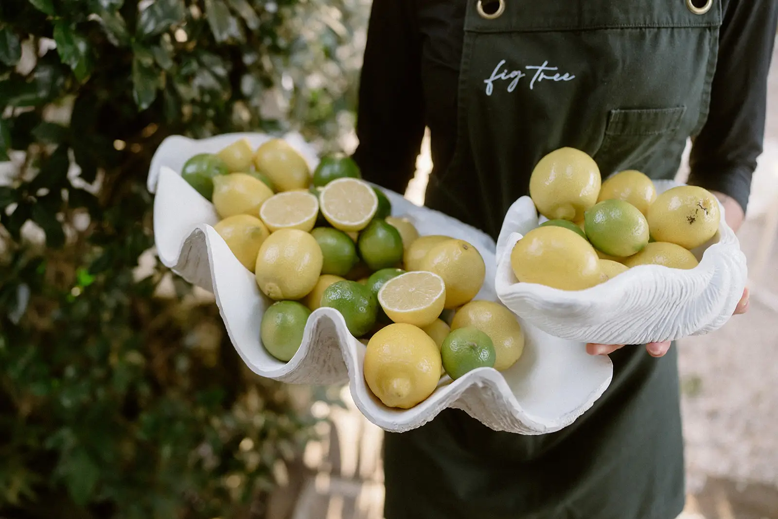 A server in a Fig Tree apron carrying a shell bowl of lemons and limes, Fig Tree Restaurant