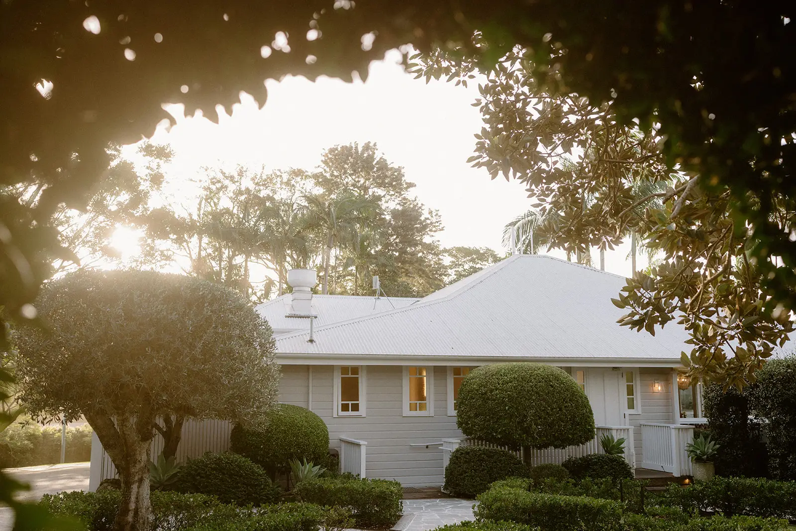Late sun breaking through the trees behind the white farmhouse and its hedges, Fig Tree Restaurant