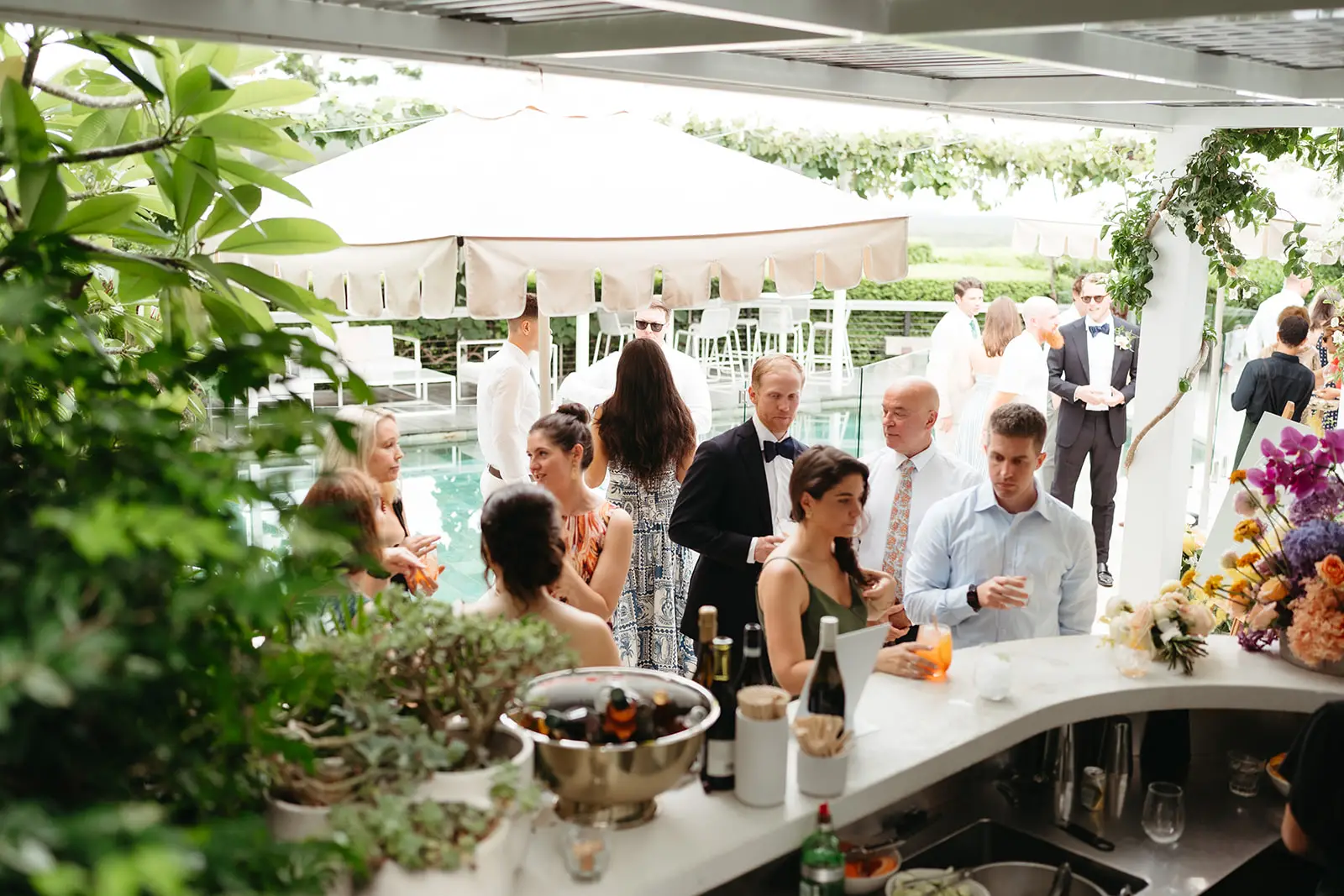 The poolside bar during canapés, guests gathered among the planting, Fig Tree Restaurant