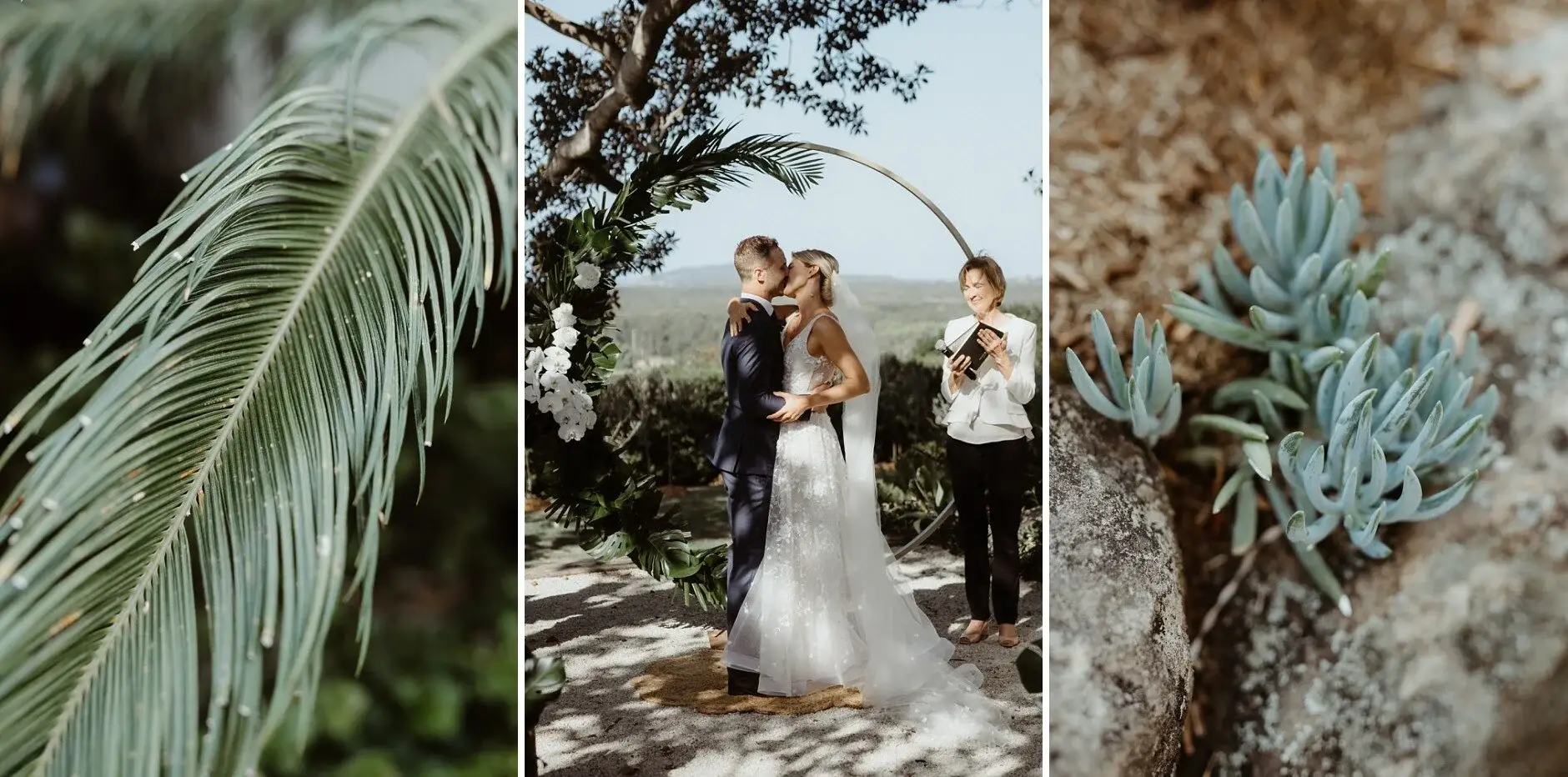 Palm fronds, the couple at the arbour, and succulents at the Fig Tree