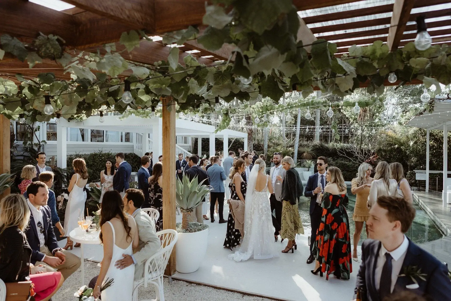 Guests under the vine-covered pergola at the Fig Tree, Byron Bay