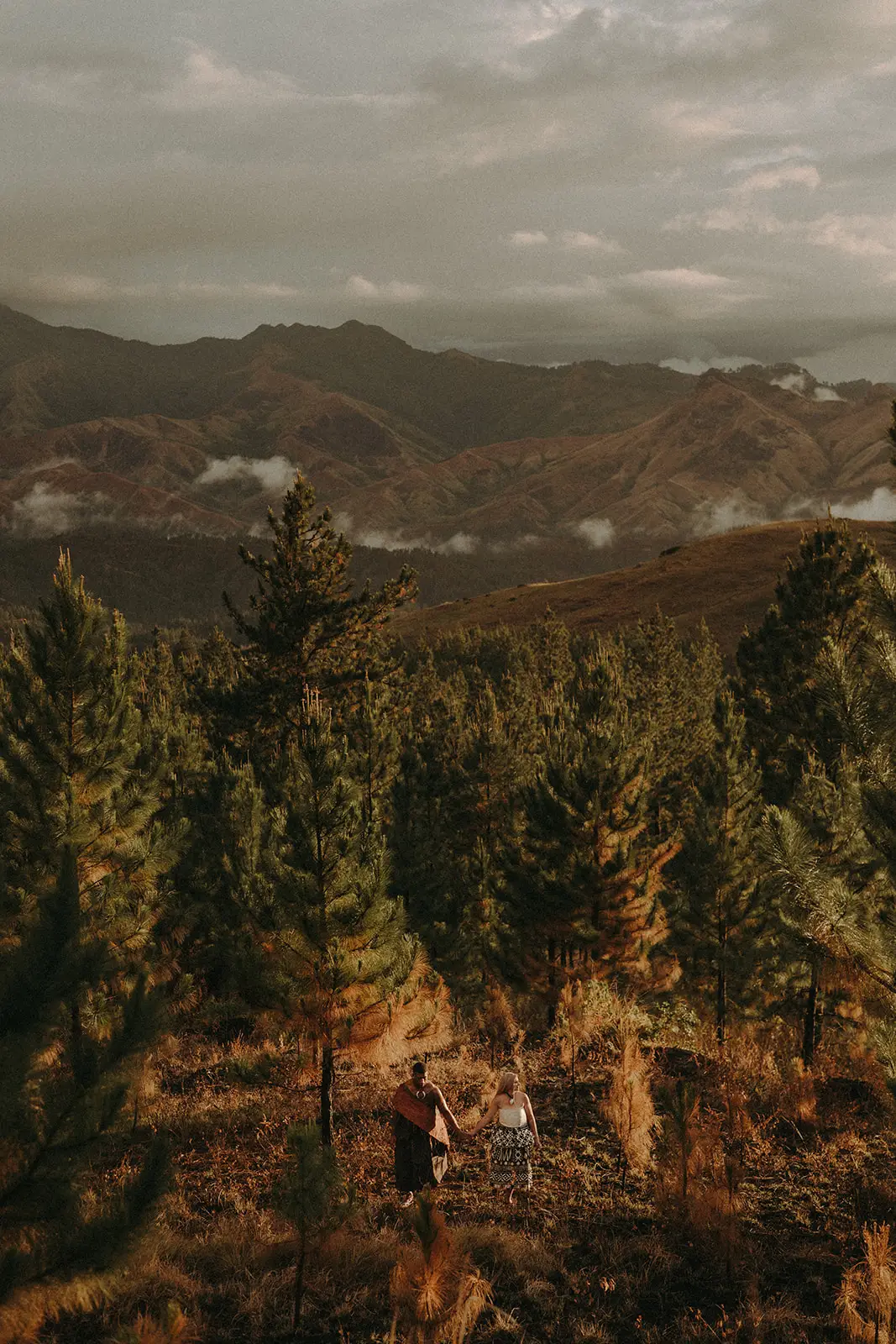 A lone figure on a forested highland slope, Fiji