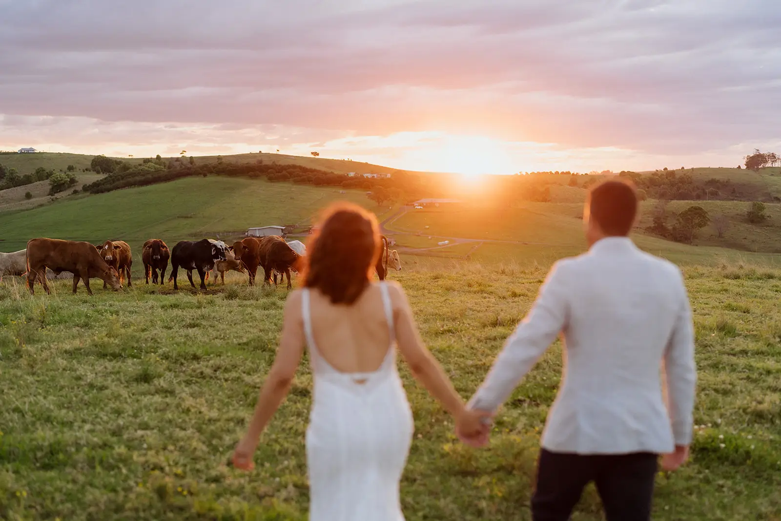 Hand in hand facing the sunset with the herd in the next paddock, Forget Me Not