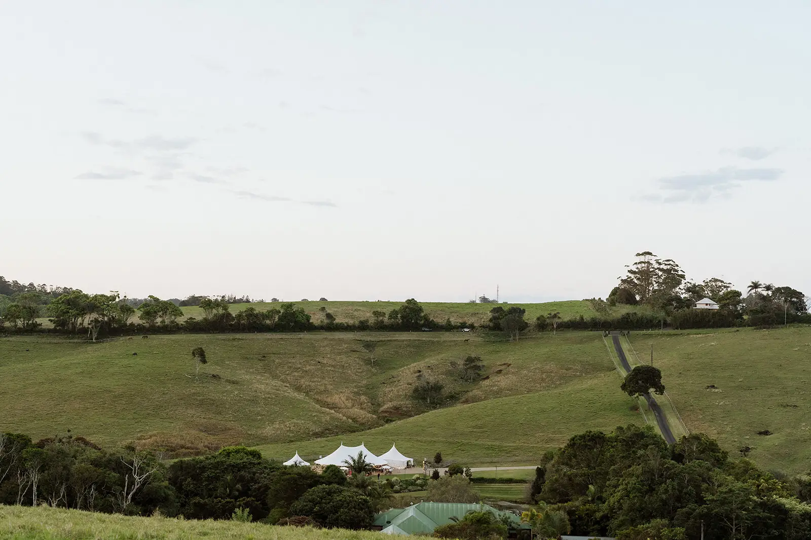 The marquee small in the valley below the farm’s high paddocks, Forget Me Not