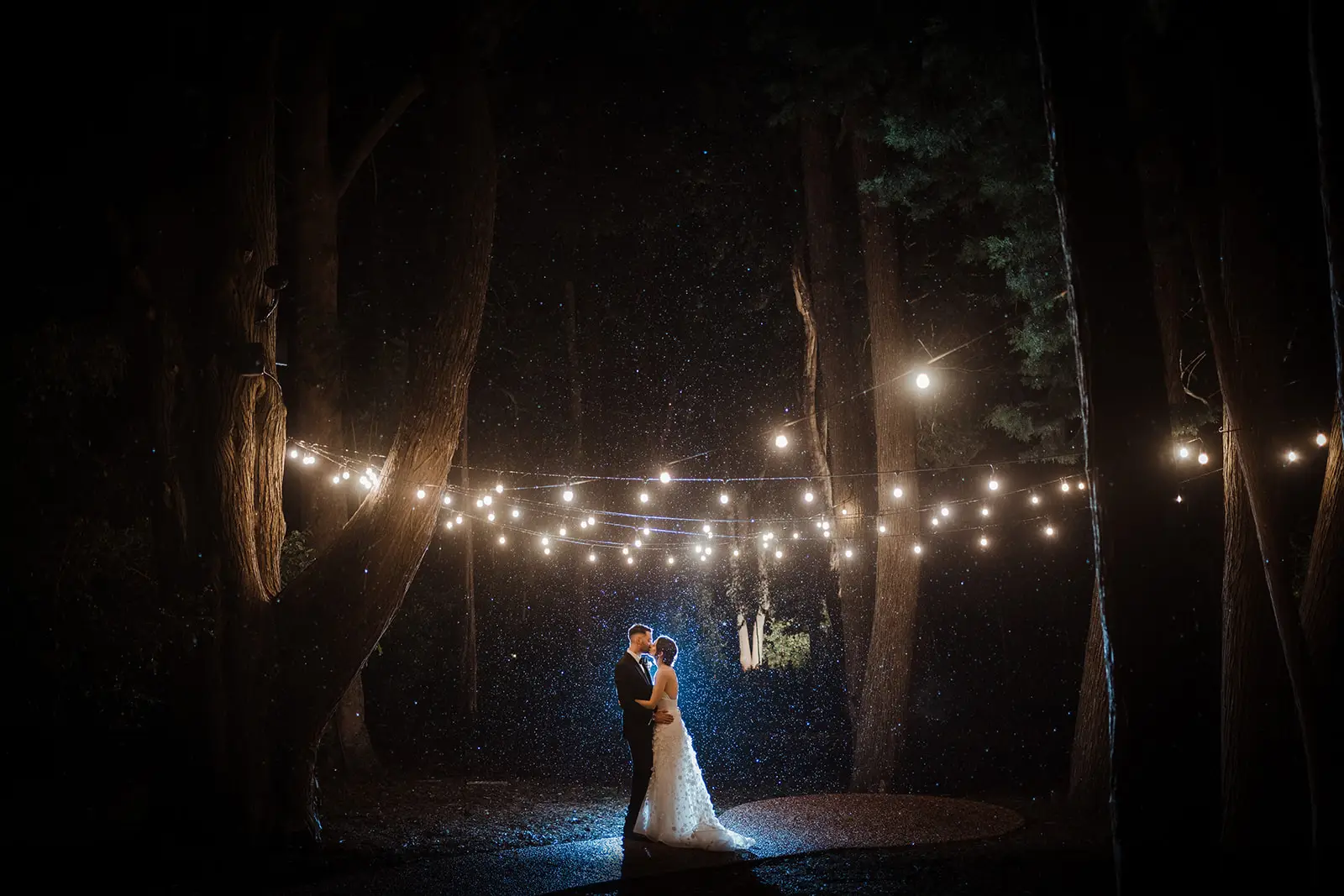 The couple under strings of lights among the old trees at night, Gabbinbar Homestead, Toowoomba