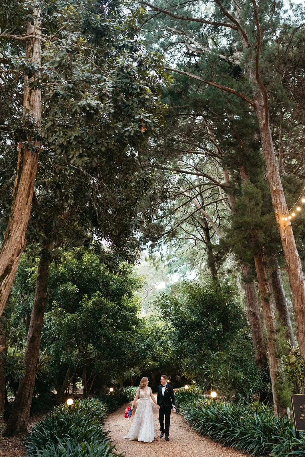 Walking the garden path between the old trees at dusk, Gabbinbar Homestead