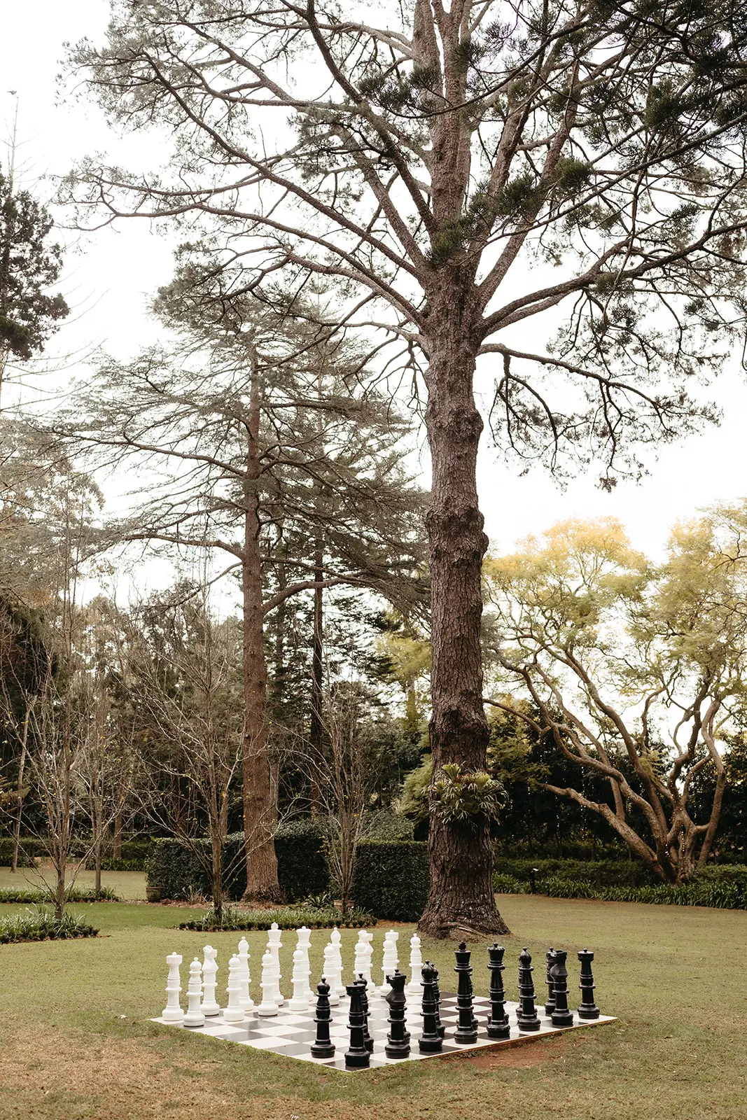 The oversized chess set on the lawn beneath a pine, Gabbinbar Homestead