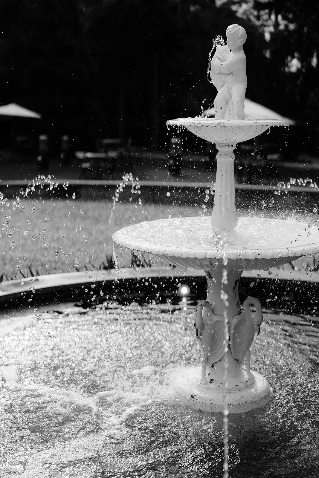 Black and white — the tiered fountain running in the courtyard, Gabbinbar Homestead